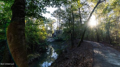 Vacant Land For Sale - 6641 Grange Hall Road<br/> Osyka, MS 39657