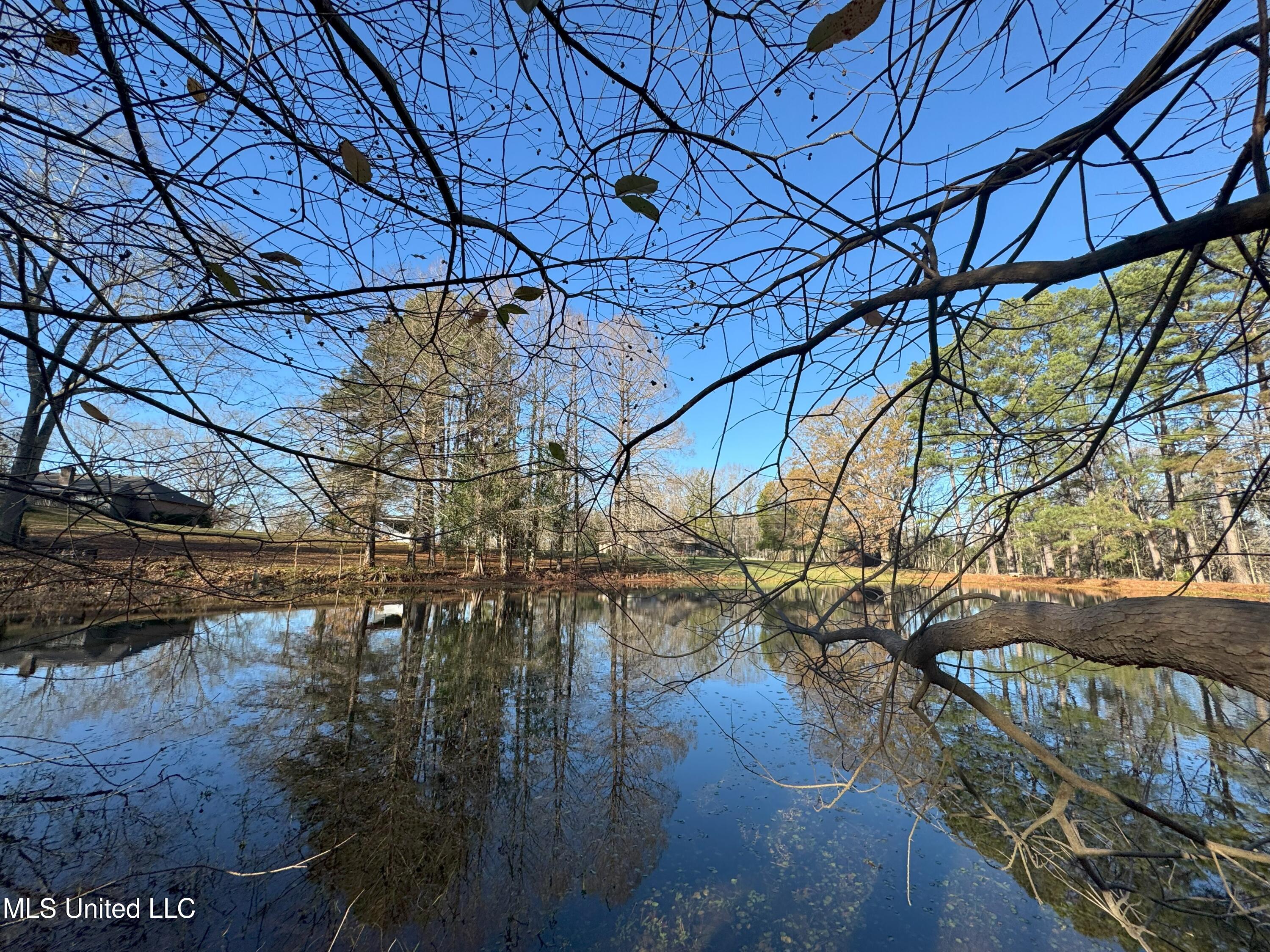 1448 N Chapel Hill Road, Raymond, Mississippi image 49