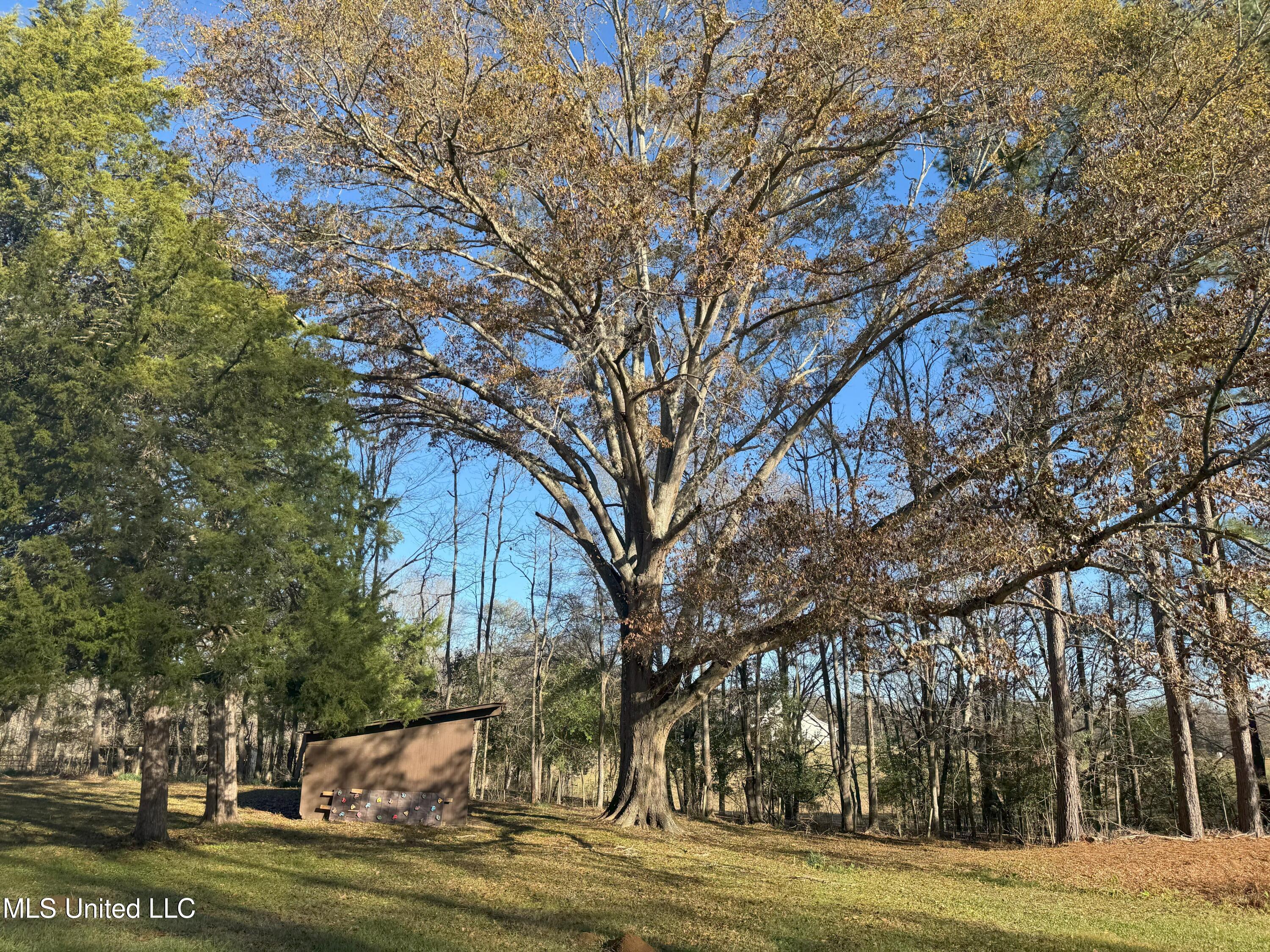 1448 N Chapel Hill Road, Raymond, Mississippi image 37