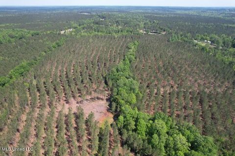 Vacant Land For Sale - Co Rd 5033<br/> Jasper County, Heidelberg, MS 39439