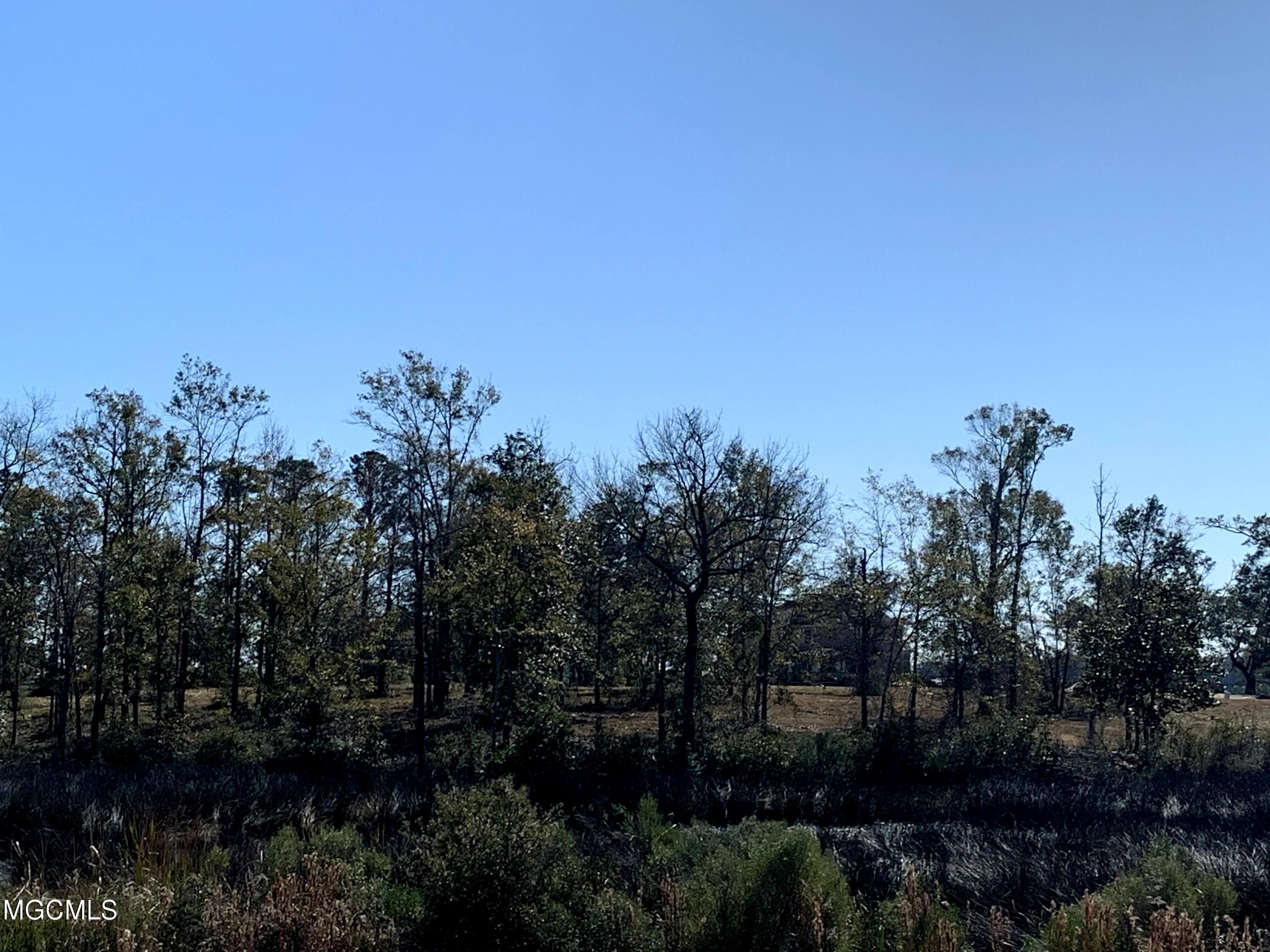 Lot 17 Wetzel Drive, Biloxi, Mississippi image 5