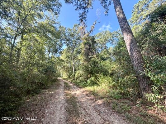 ROBERT BATEMAN RD, FRANKLINTON, LA 70438 - Image 07fa2d69cc26041b7adfff08bfc5ab0f/1331862996
