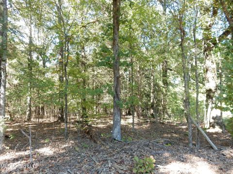 Vacant Land For Sale - LOT 3 N Crockett Road<br/> Senatobia, MS 38668