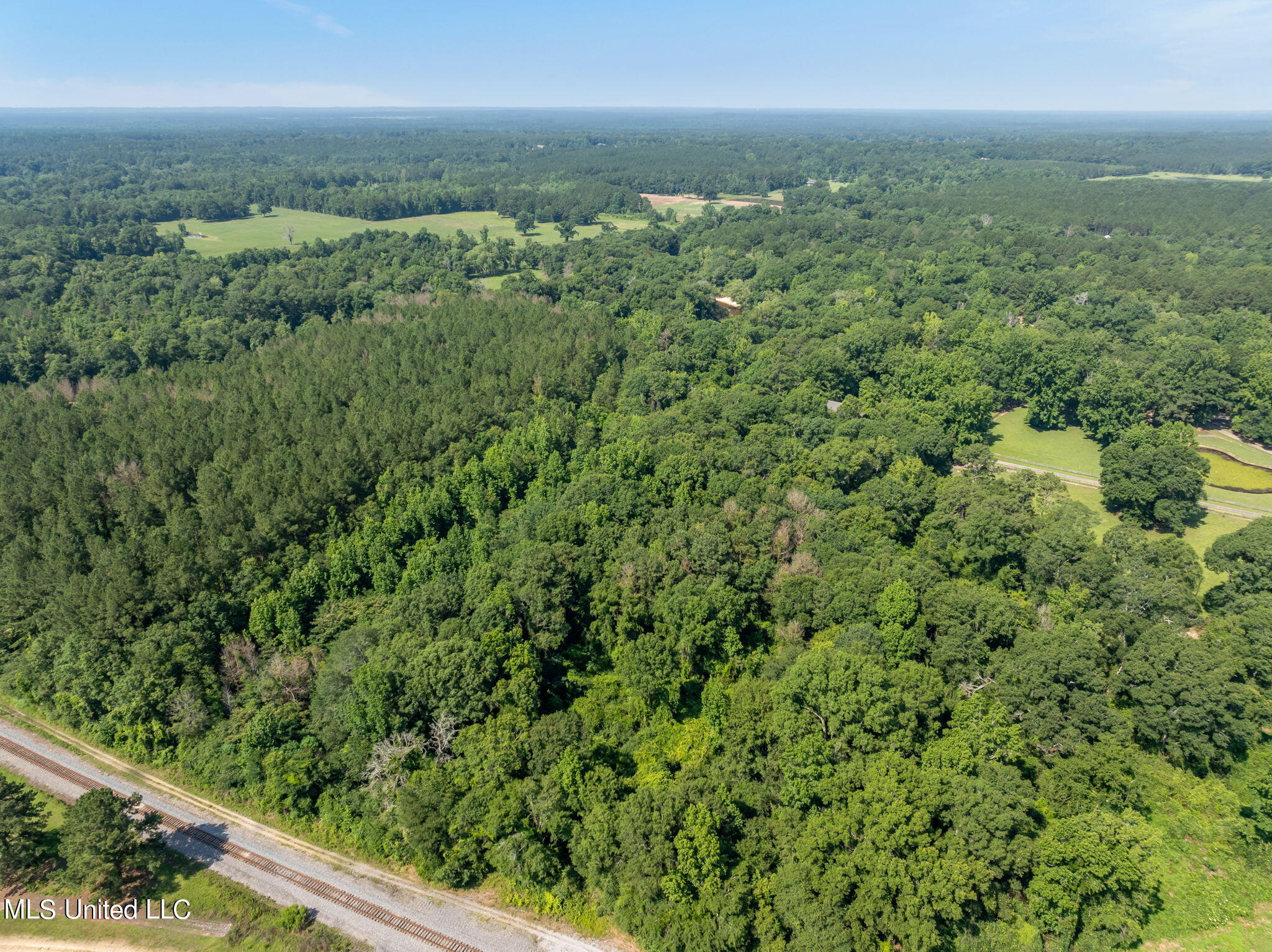 121 Acres Old Hwy 49, Seminary, Mississippi image 17