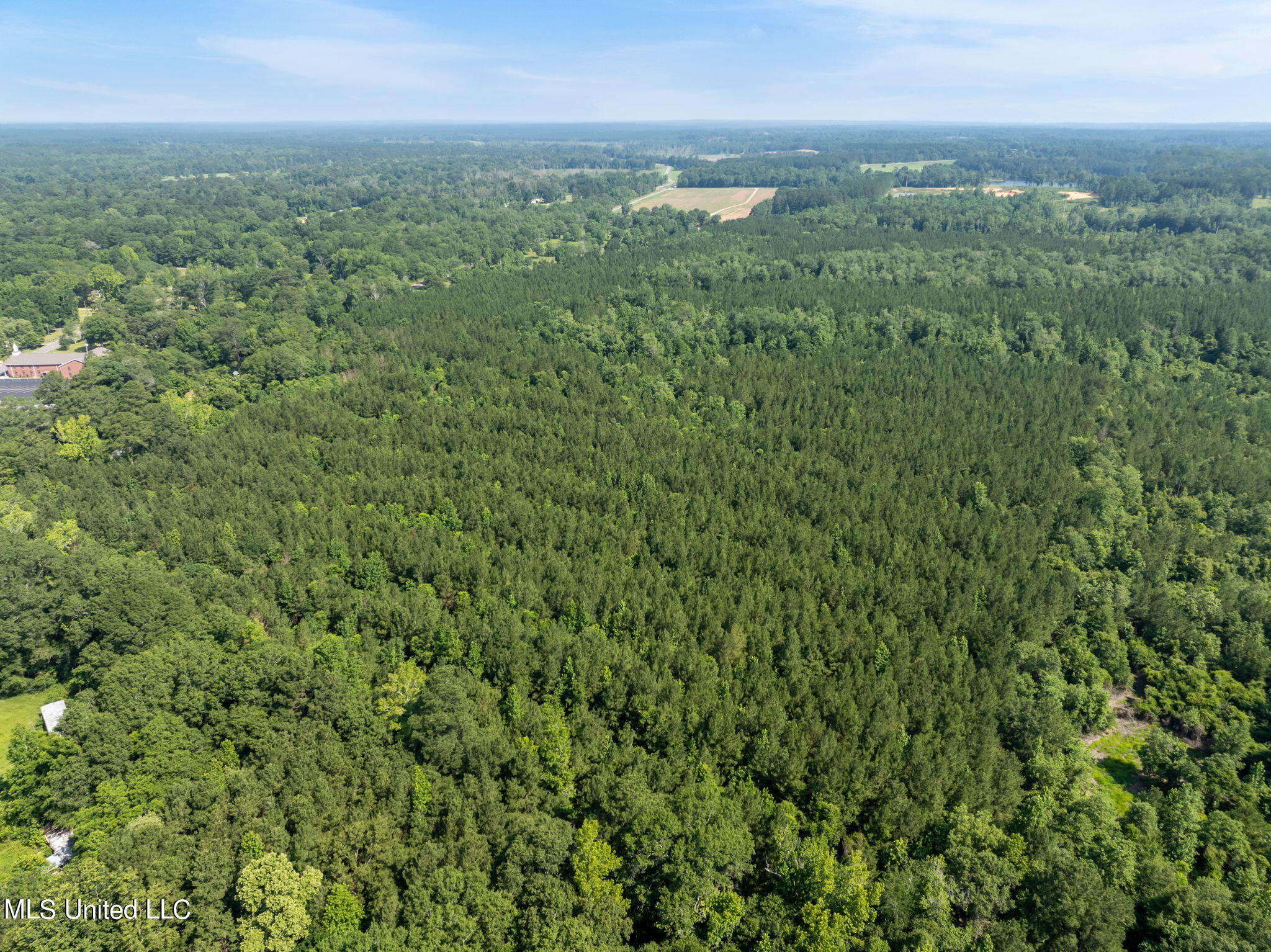 121 Acres Old Hwy 49, Seminary, Mississippi image 15