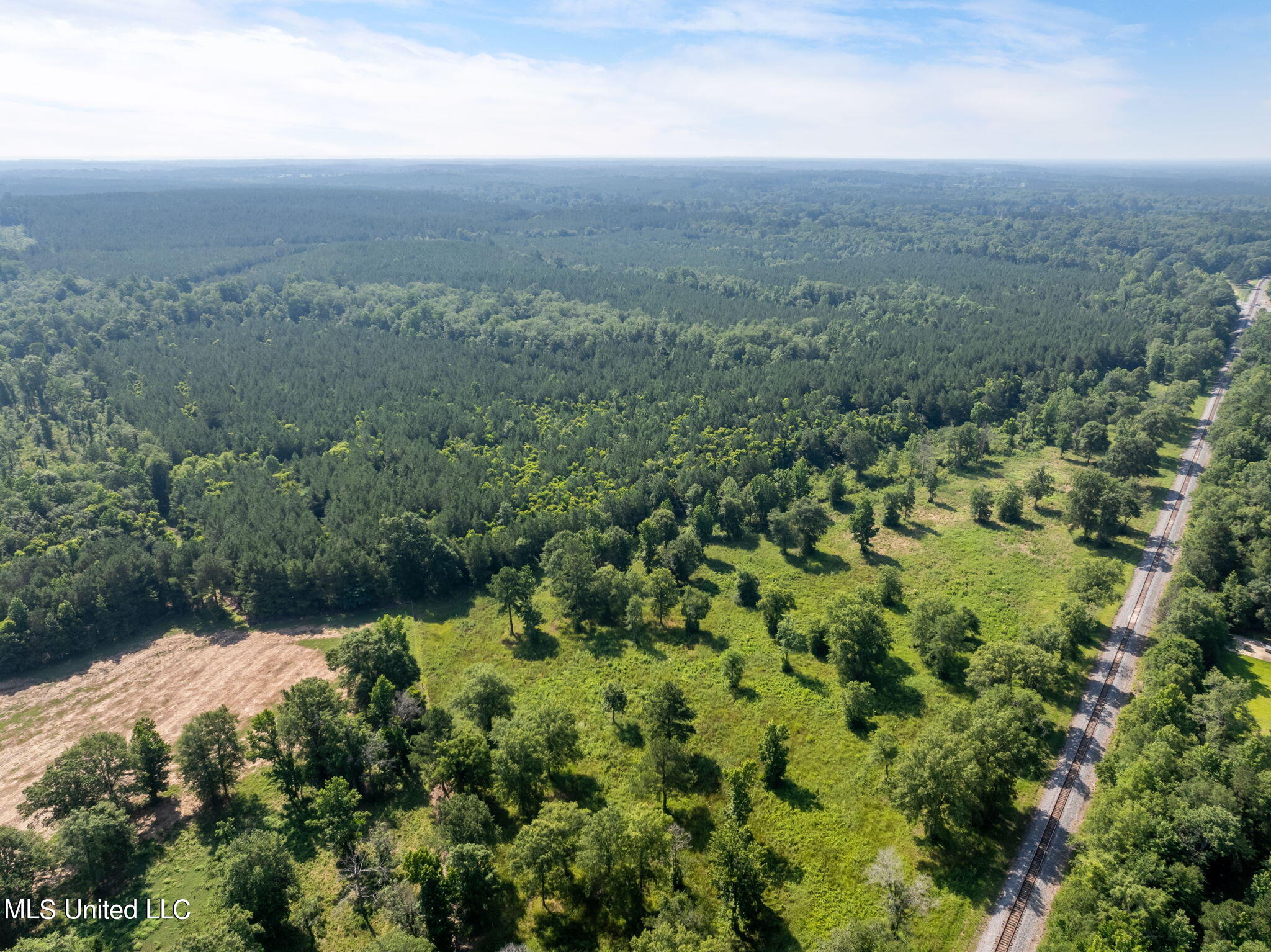 121 Acres Old Hwy 49, Seminary, Mississippi image 13