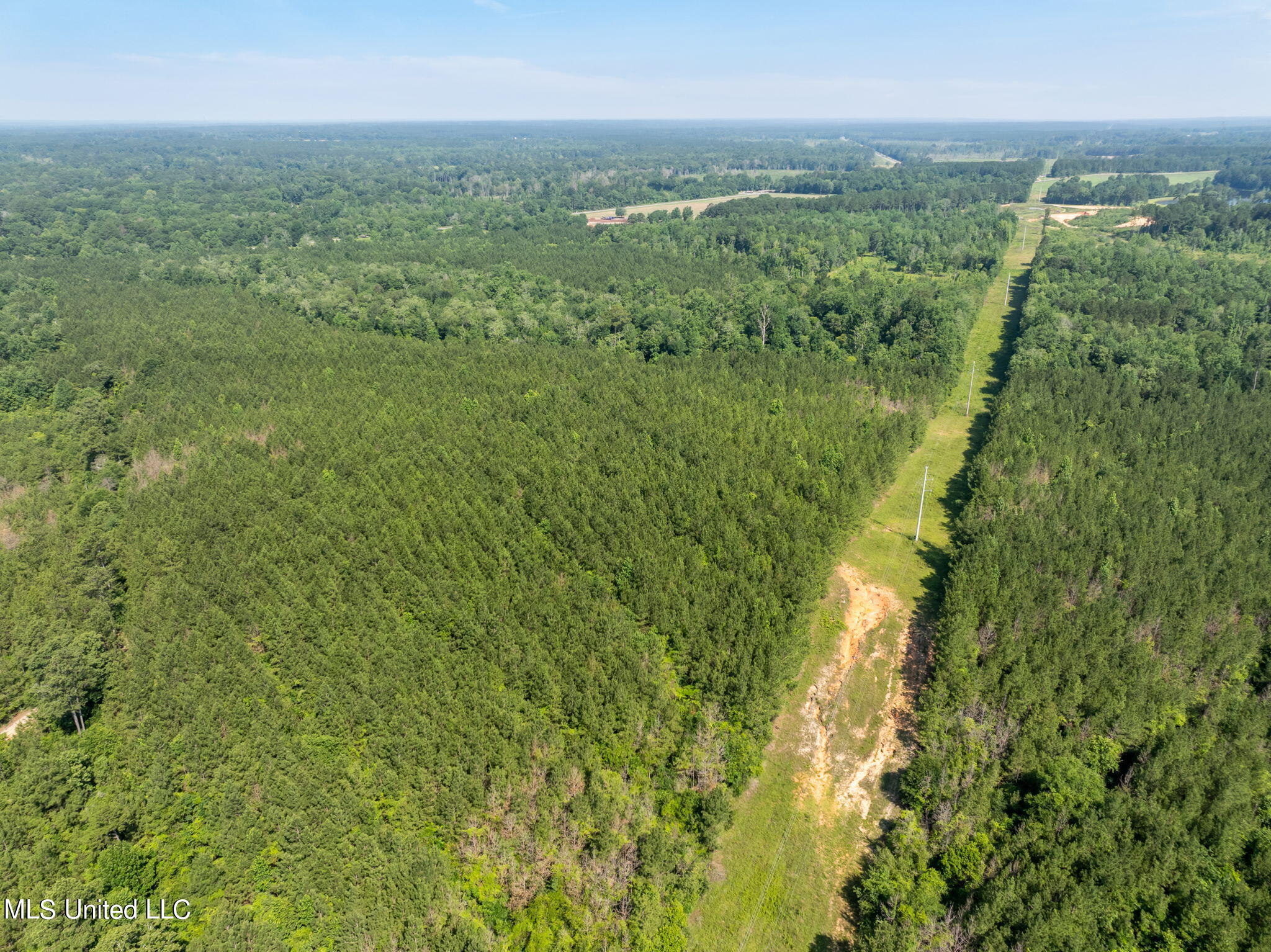 121 Acres Old Hwy 49, Seminary, Mississippi image 14