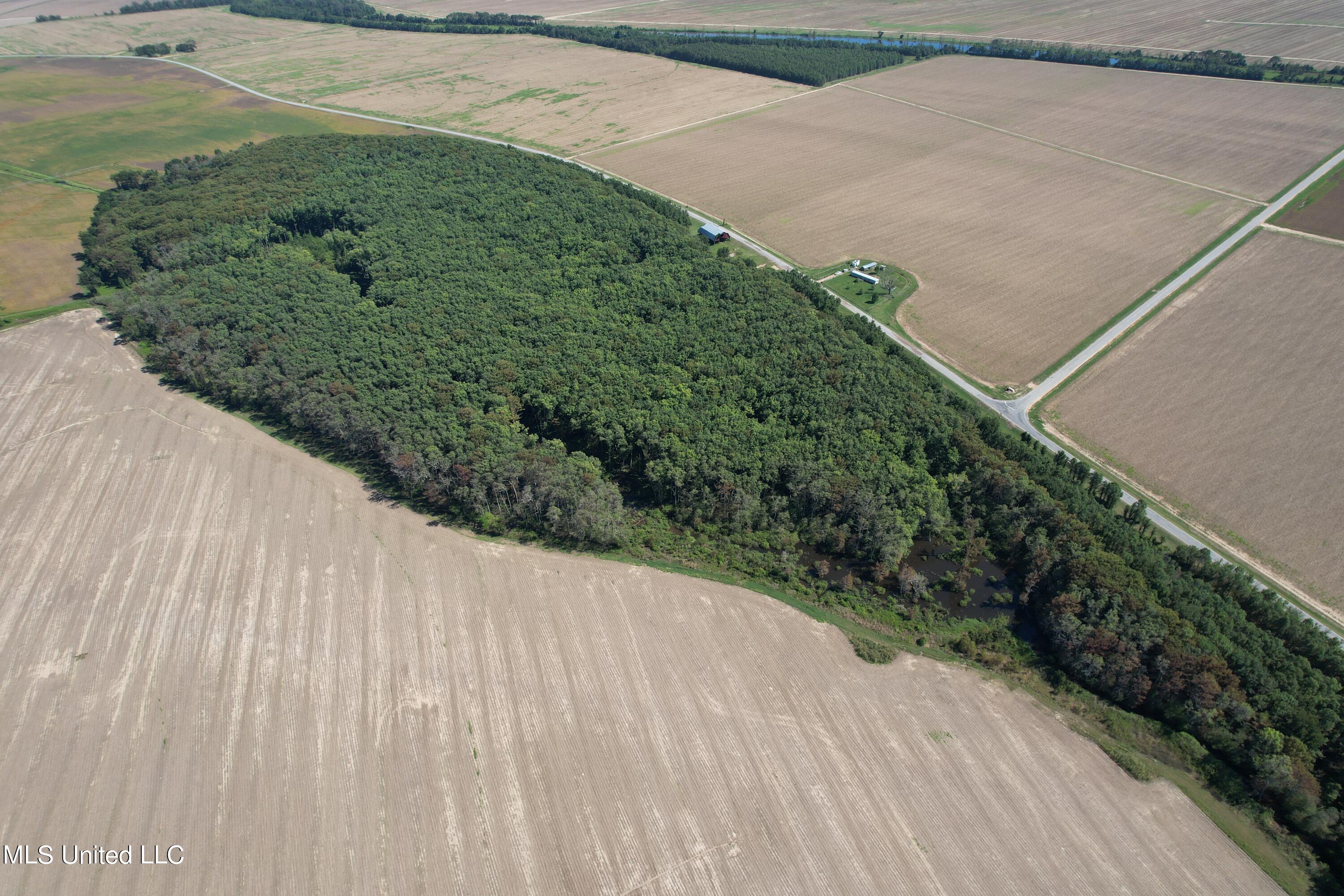 County Road 516, Schlater, Mississippi image 4