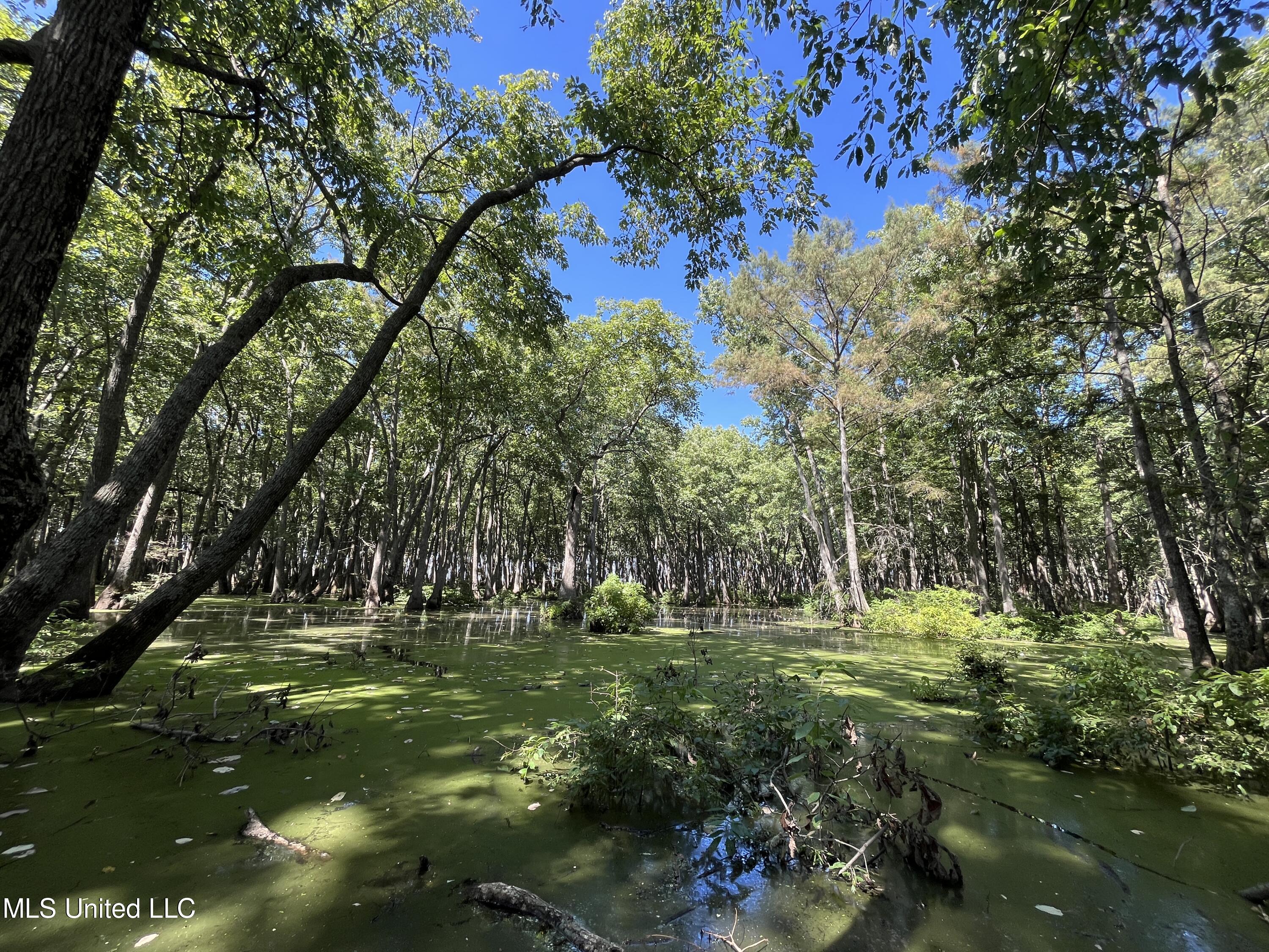 County Road 516, Schlater, Mississippi image 17