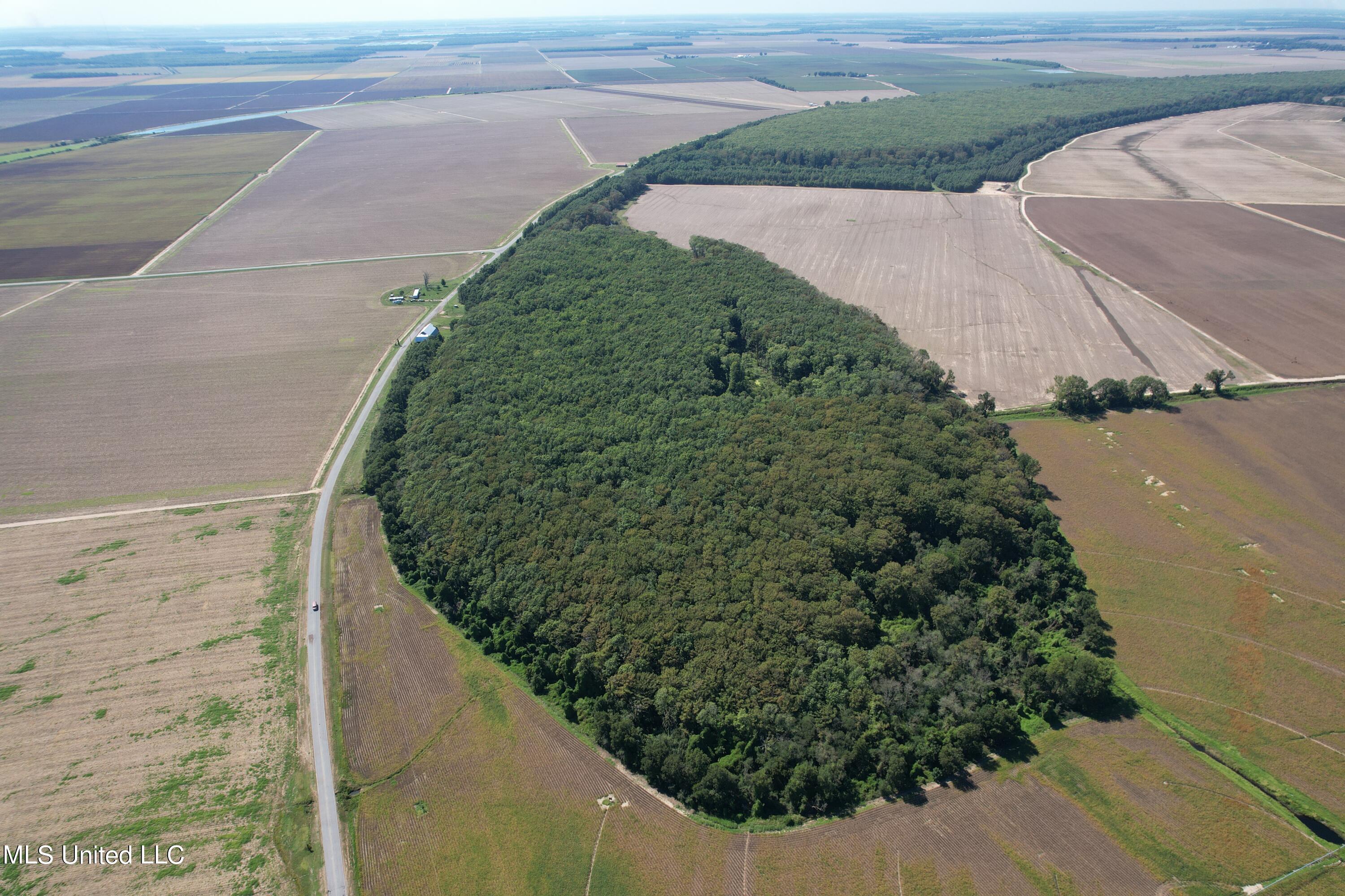 County Road 516, Schlater, Mississippi image 1