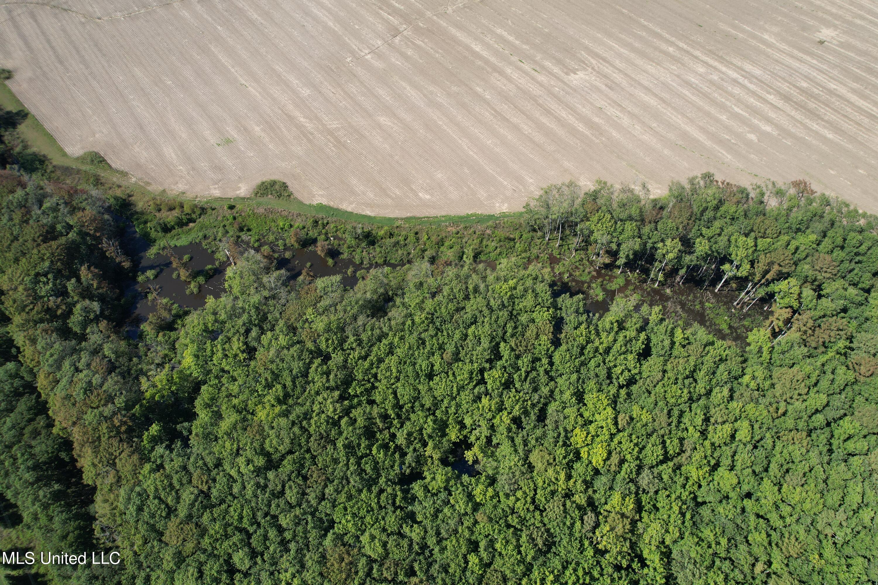 County Road 516, Schlater, Mississippi image 9