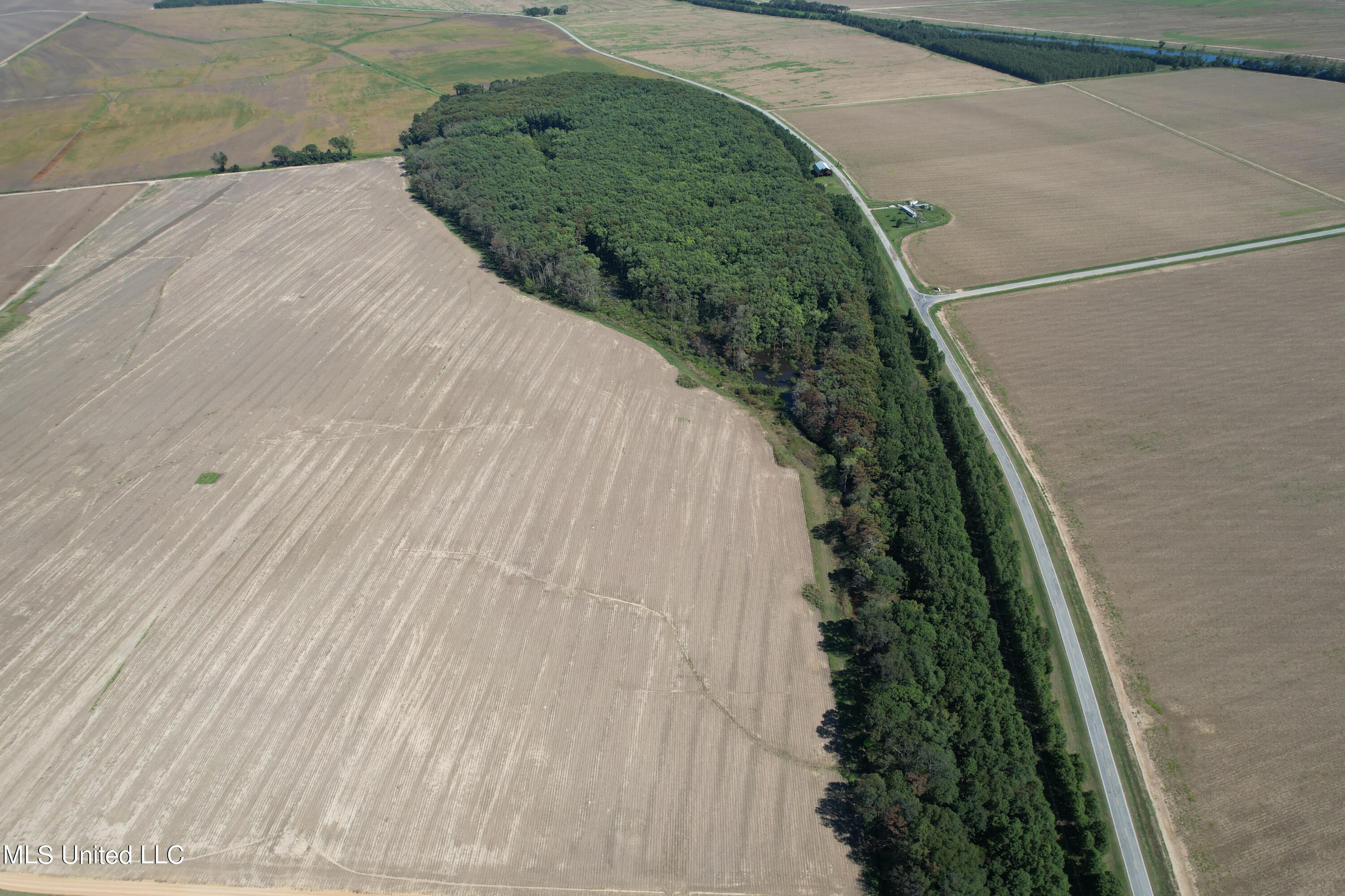 County Road 516, Schlater, Mississippi image 3