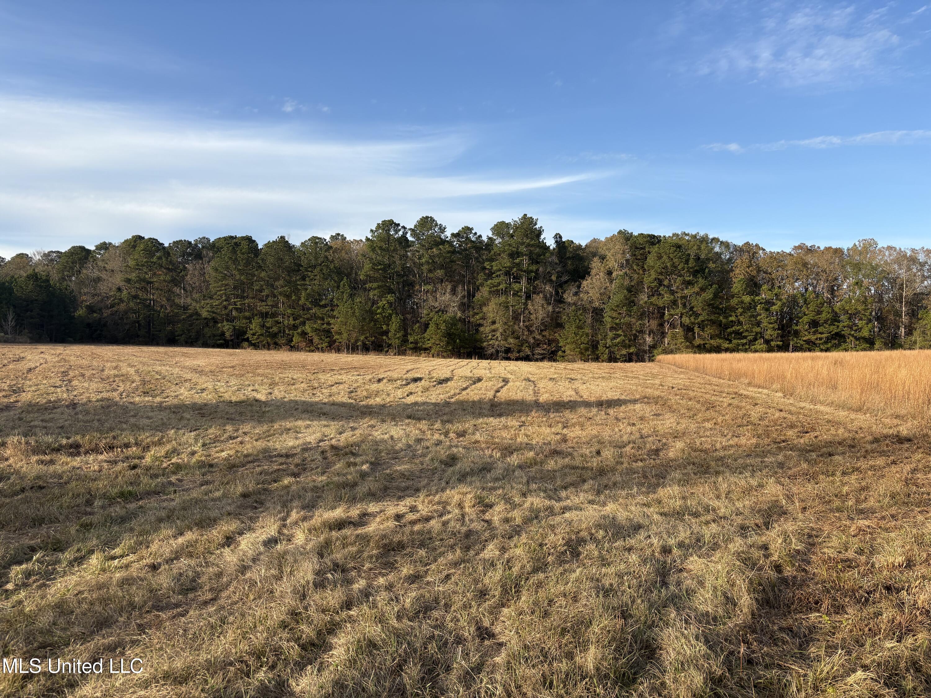 Canton, Mississippi 39046, United States, ,Land,Active,251332