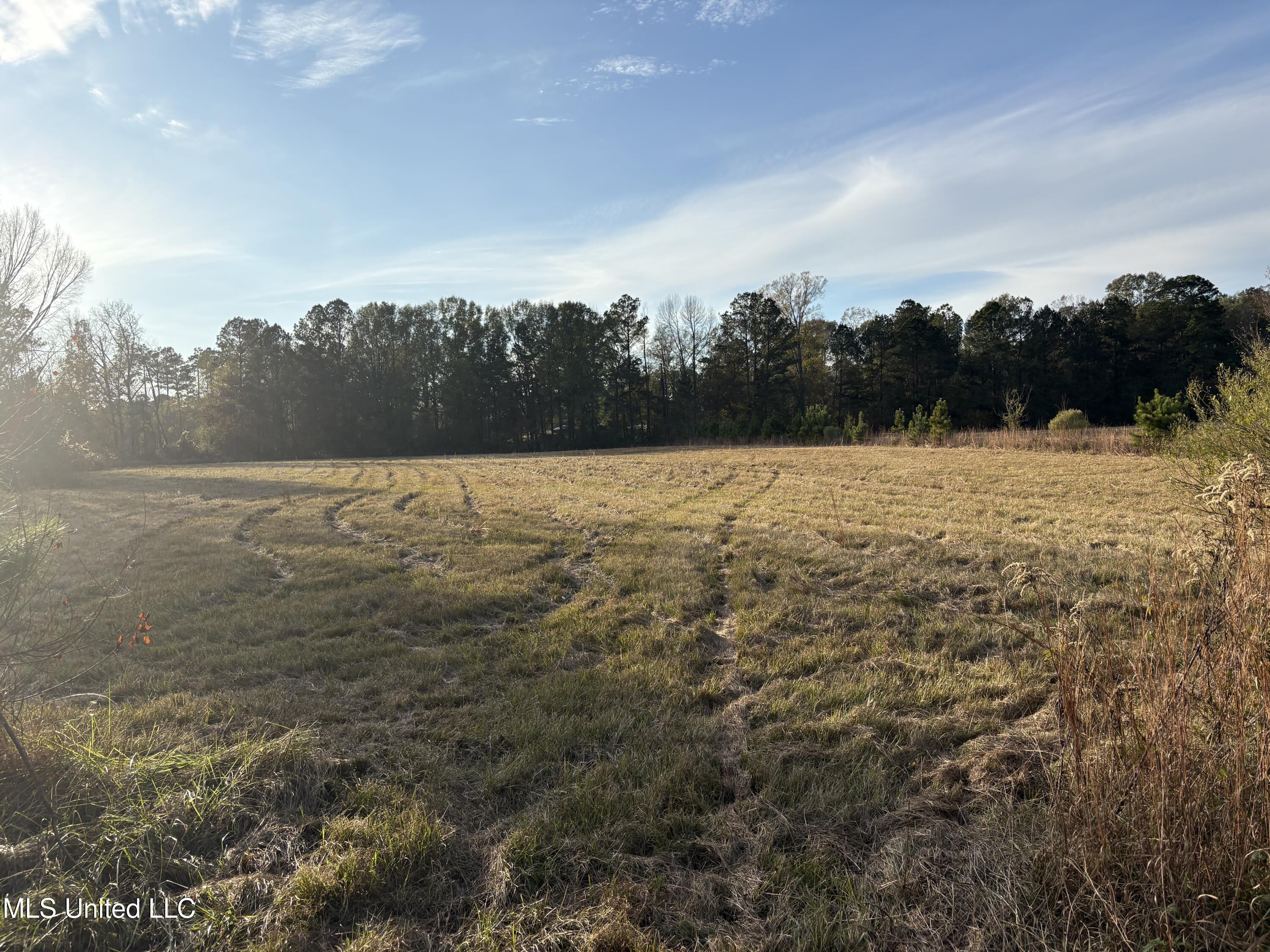 Canton, Mississippi 39046, United States, ,Land,Active,251332