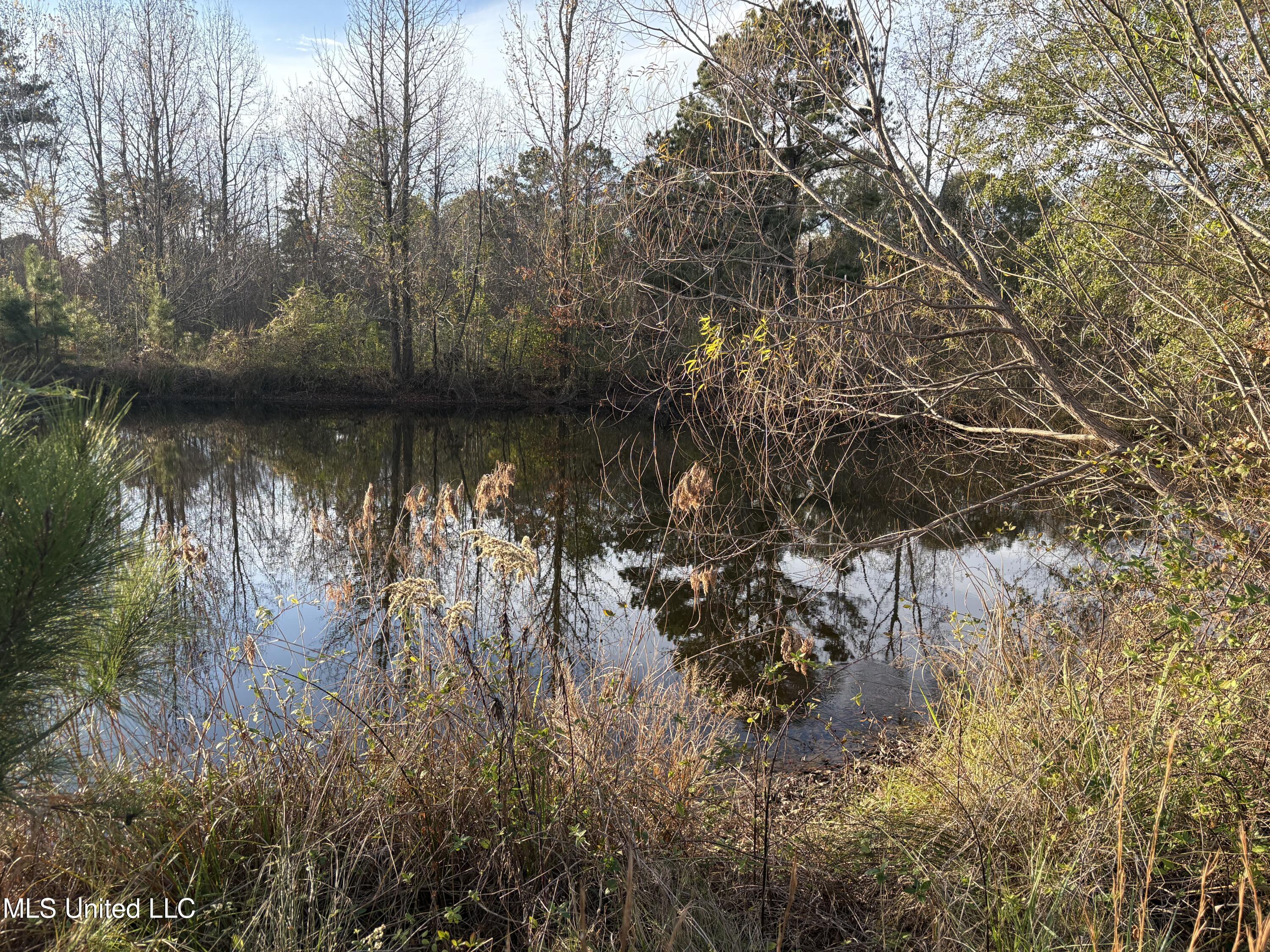 Canton, Mississippi 39046, United States, ,Land,Active,251332