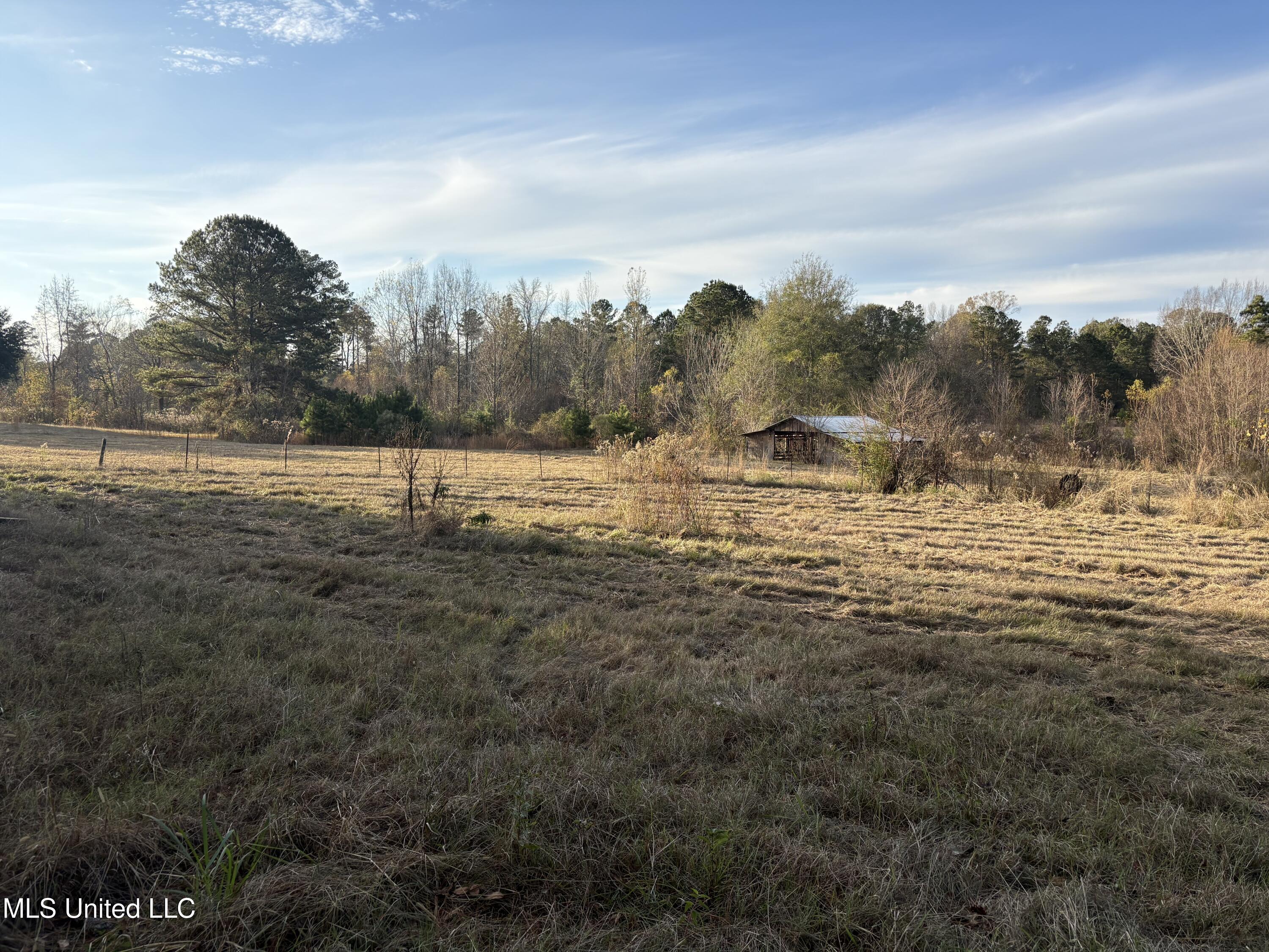 Canton, Mississippi 39046, United States, ,Land,Active,251332