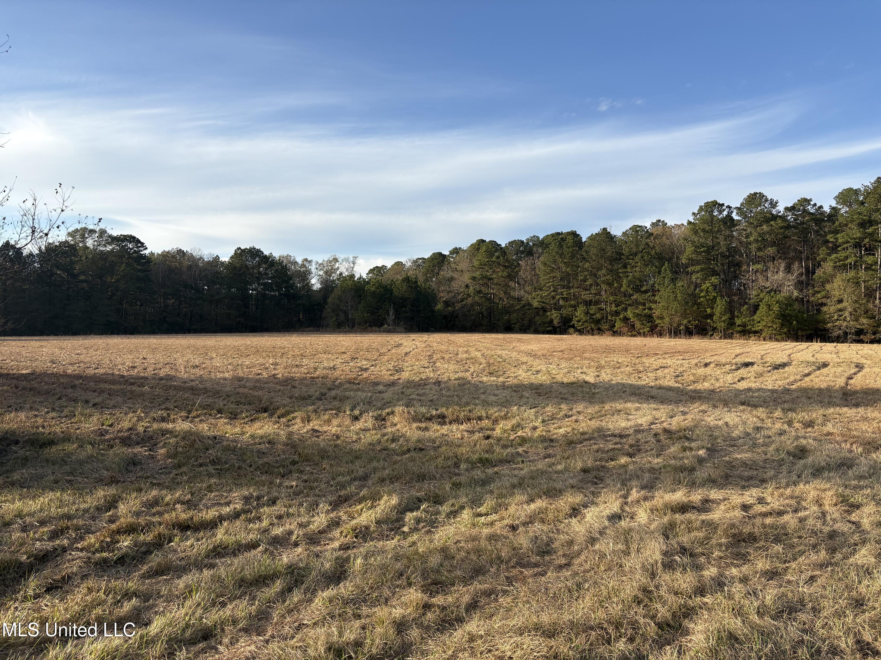 Canton, Mississippi 39046, United States, ,Land,Active,251332