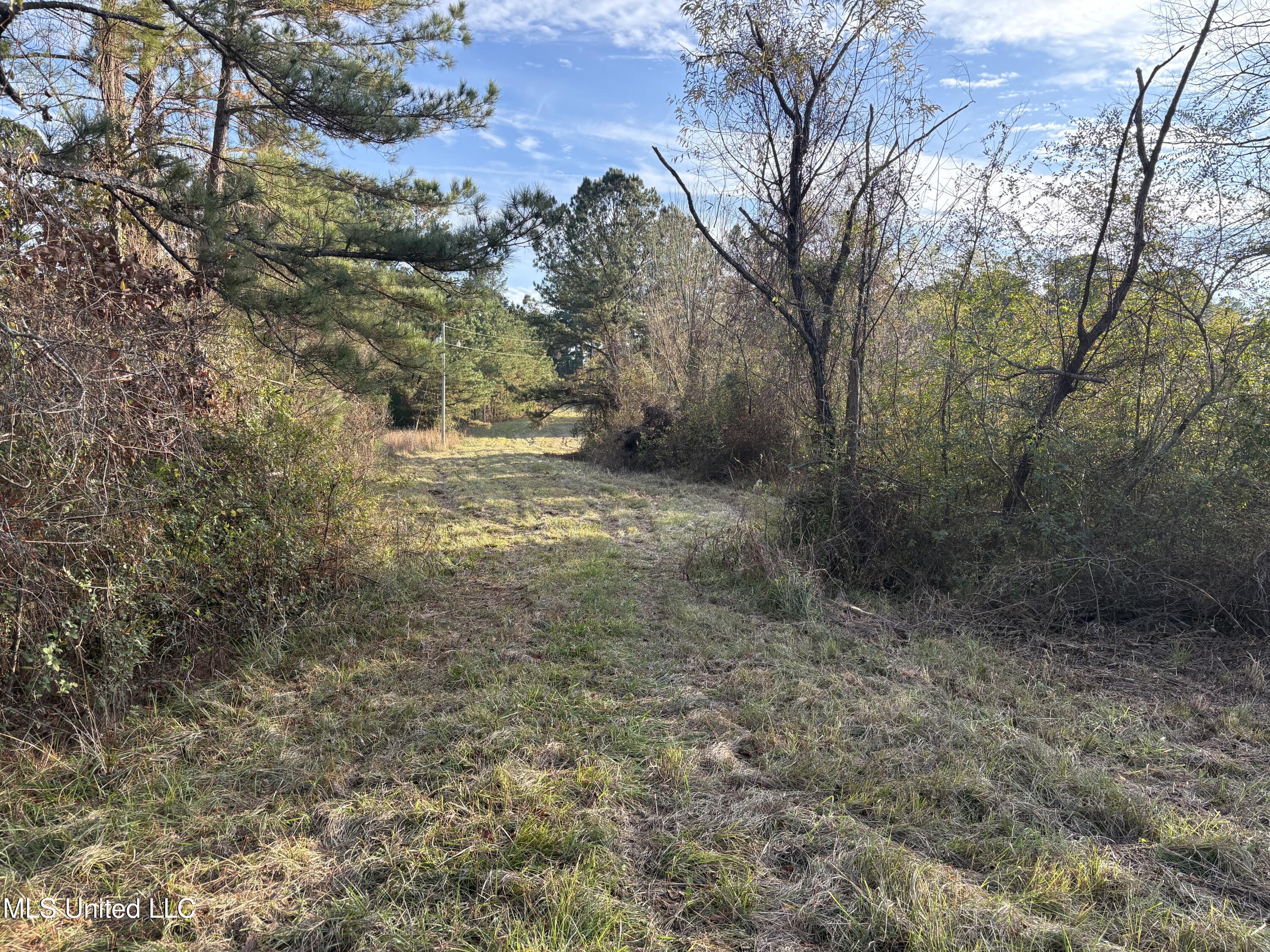 Canton, Mississippi 39046, United States, ,Land,Active,251332