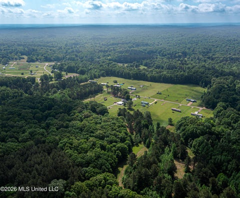 Vacant Land For Sale - 1022 Little Spring Drive<br/> Copiah County, Utica, MS 39175