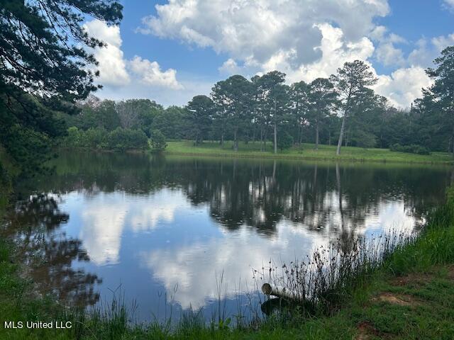 229 12 Oaks, Canton, Mississippi image 1