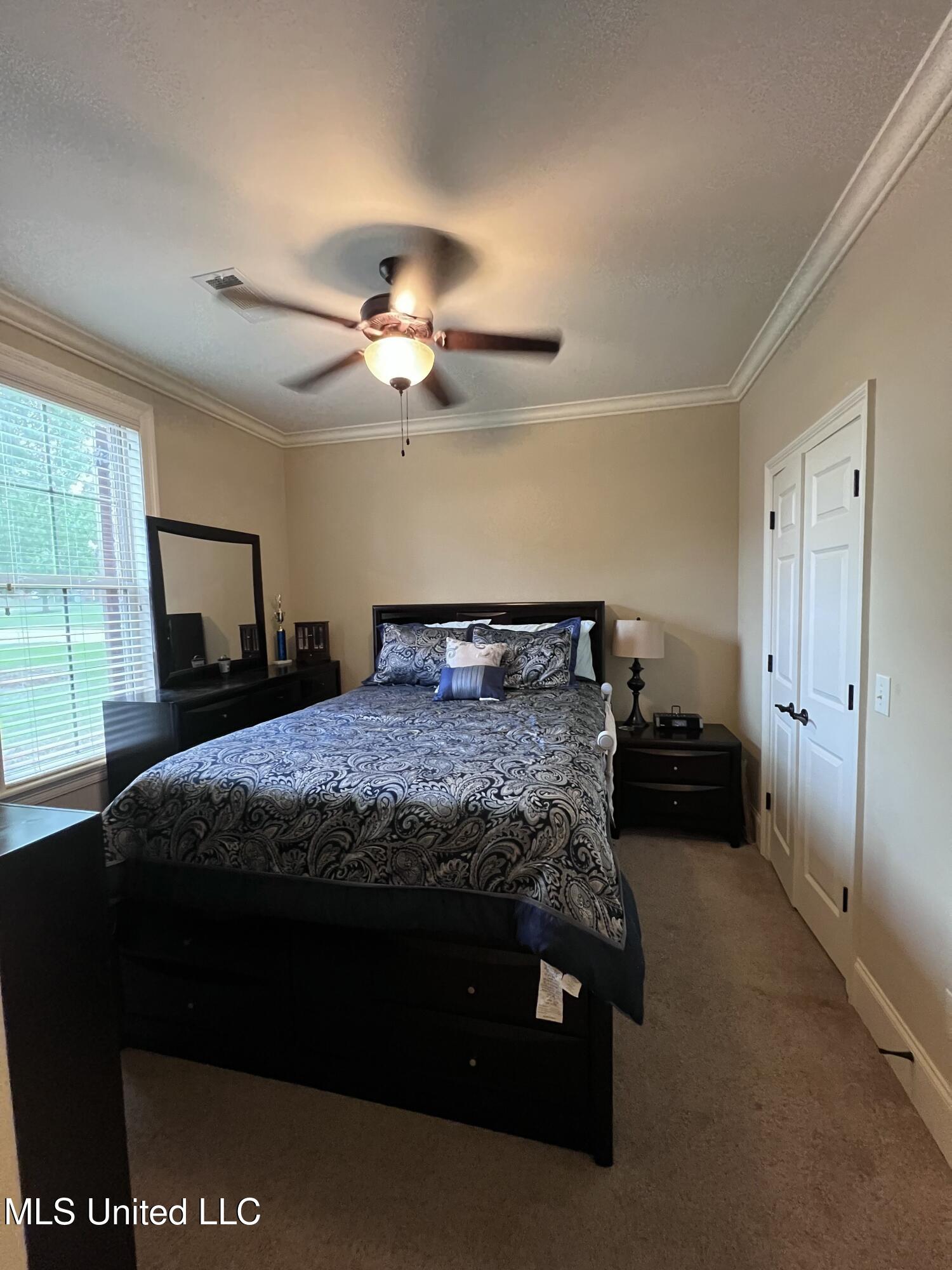101 Tailfeather Drive, Madison, Mississippi image 26