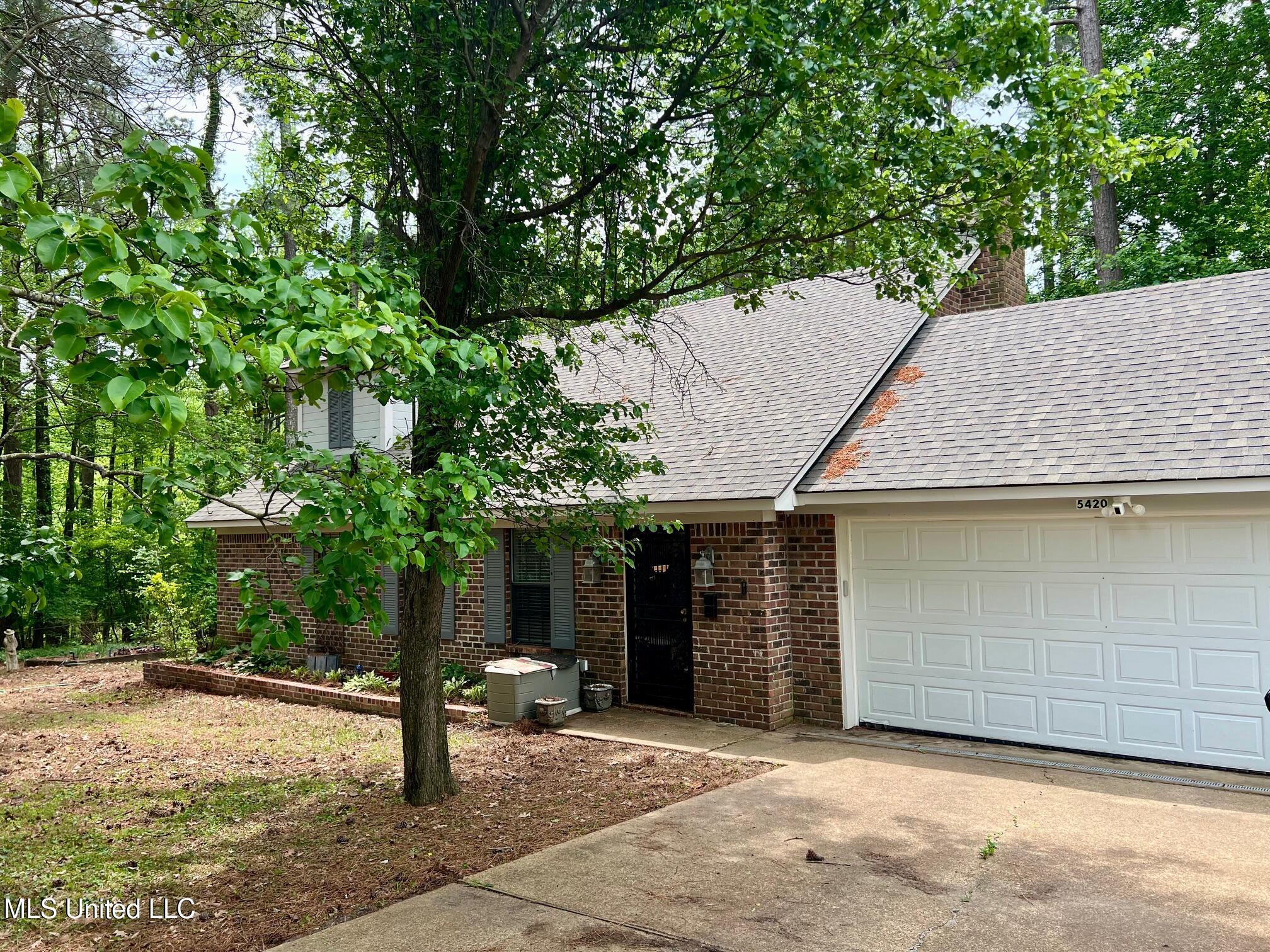 5420 Openwood Lane, Hernando, Mississippi image 1