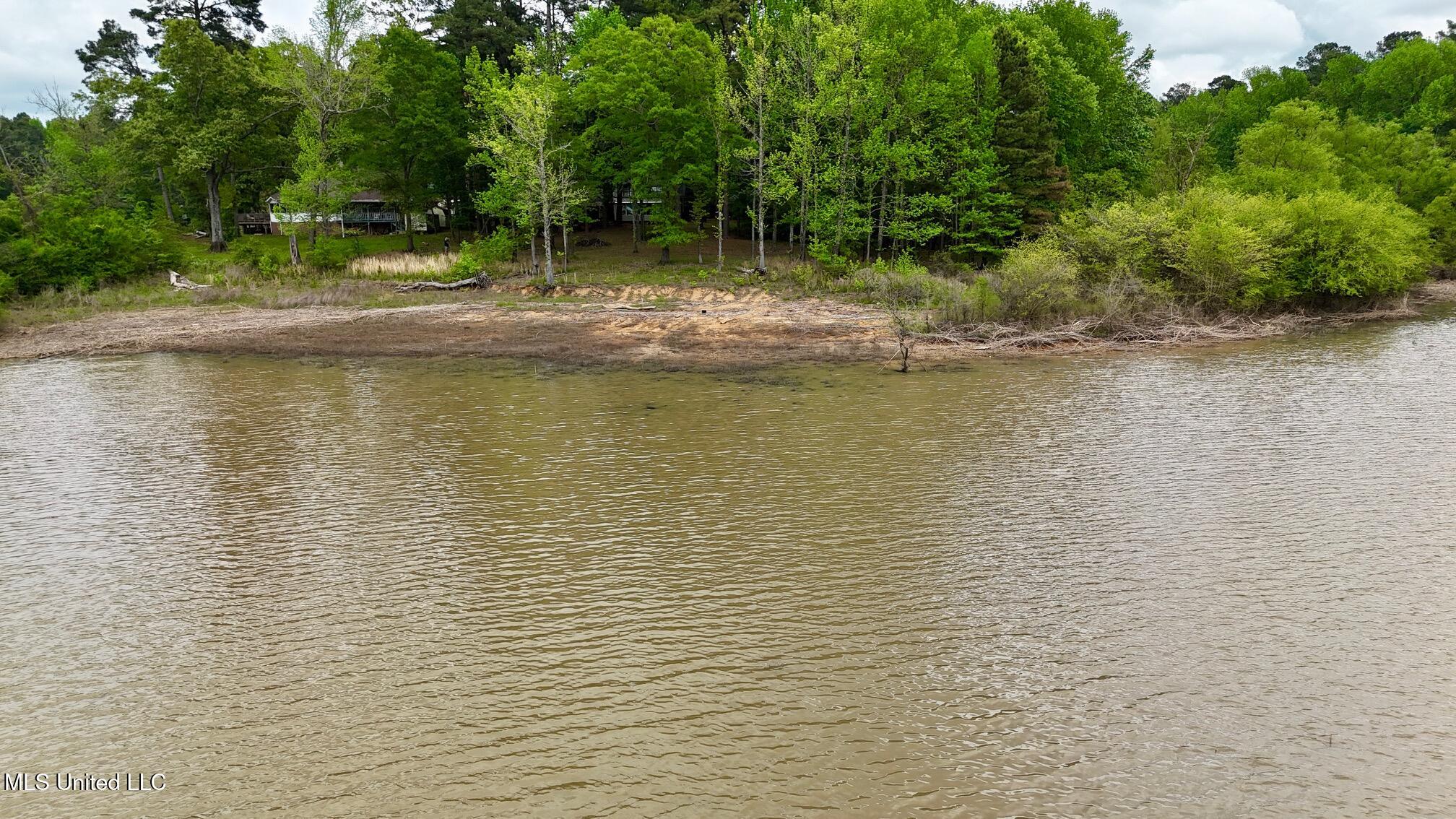 5420 Openwood Lane, Hernando, Mississippi image 3