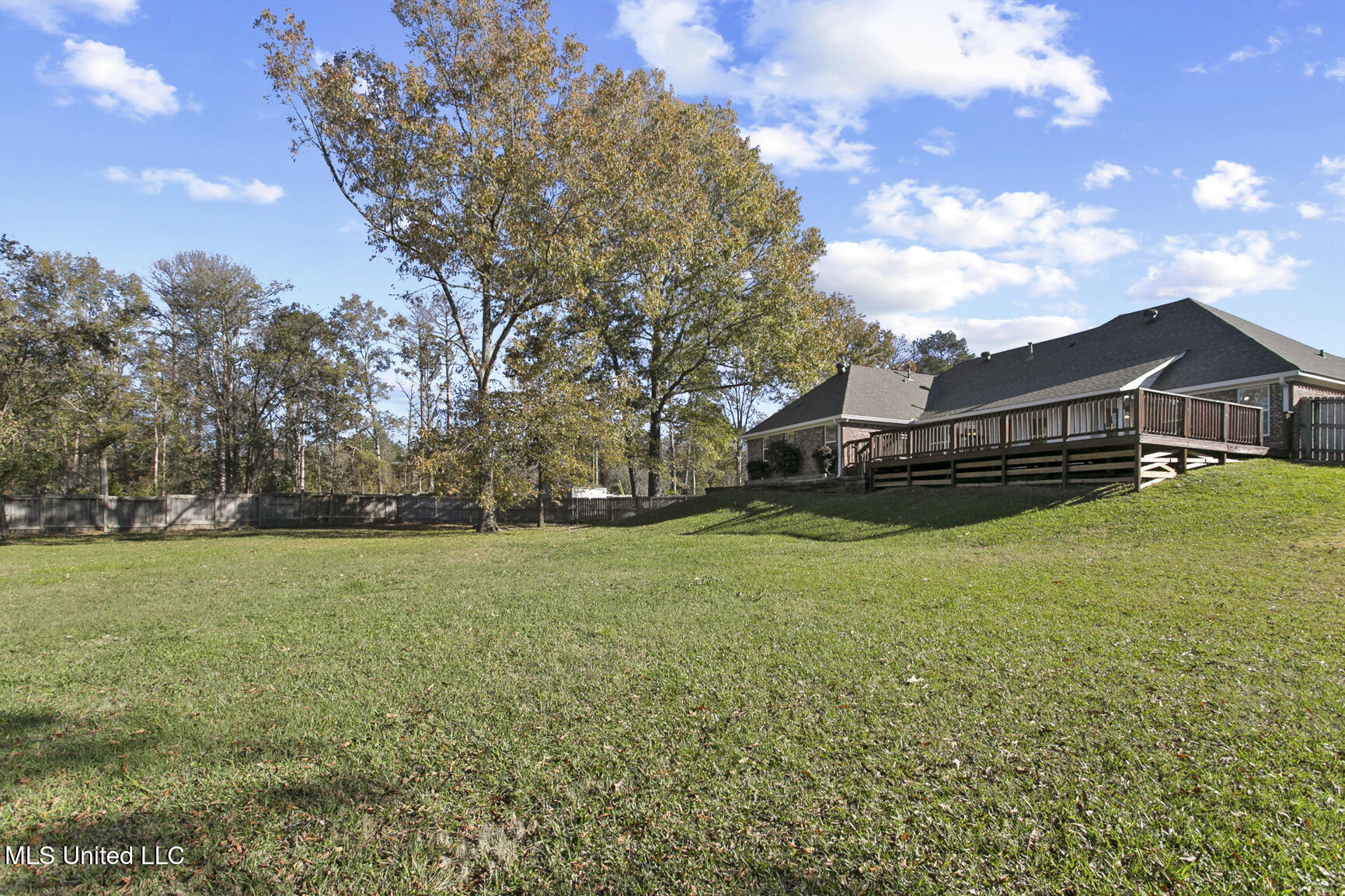 255 Cherry Bark Drive, Brandon, Mississippi image 26