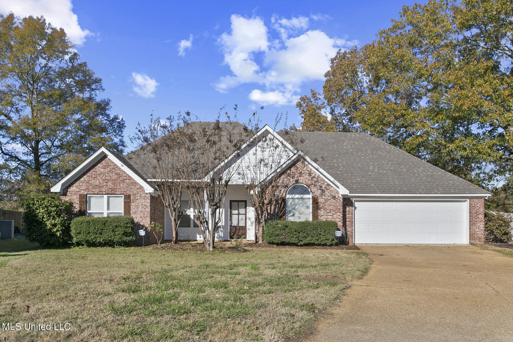 255 Cherry Bark Drive, Brandon, Mississippi image 1