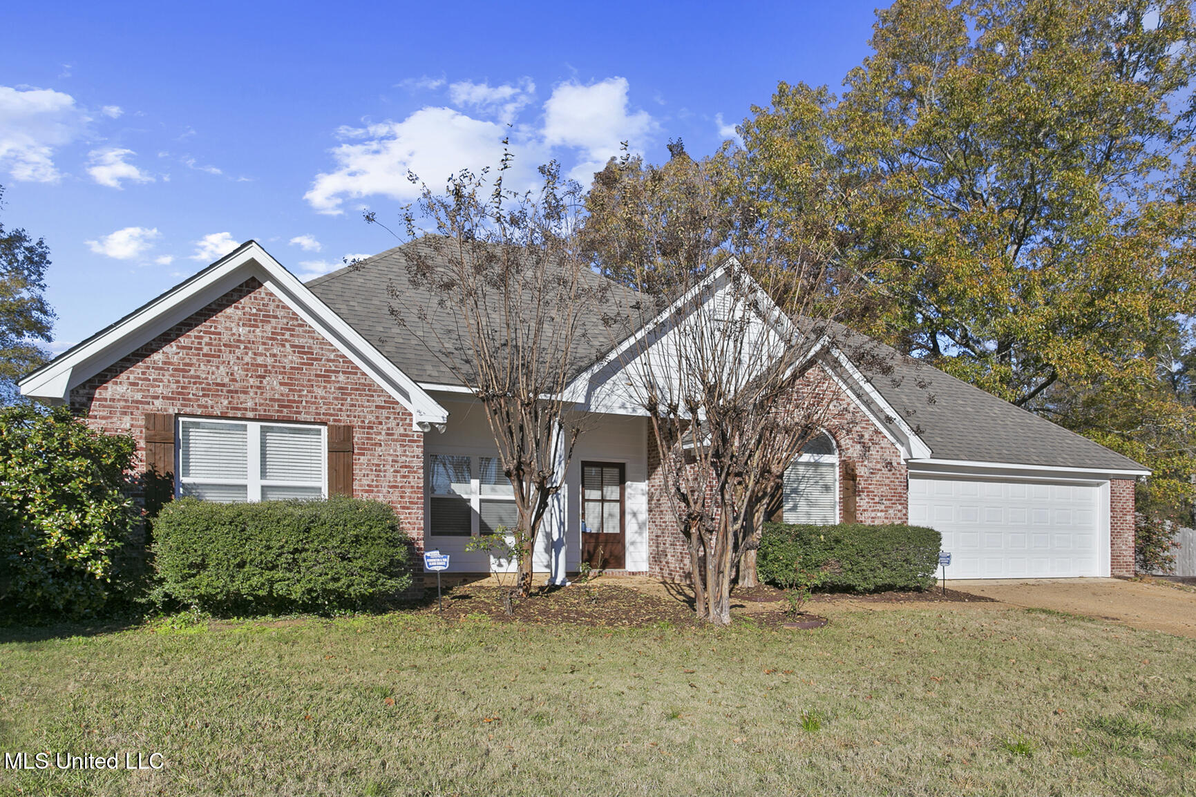 255 Cherry Bark Drive, Brandon, Mississippi image 3