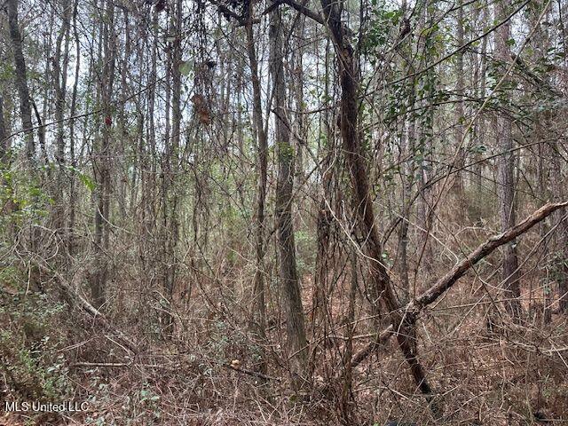 914 Beverly Hills Road, Hattiesburg, Mississippi image 4