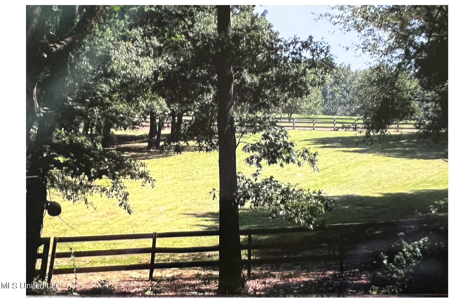 1063 Robinson Springs Road, Madison, Mississippi image 7