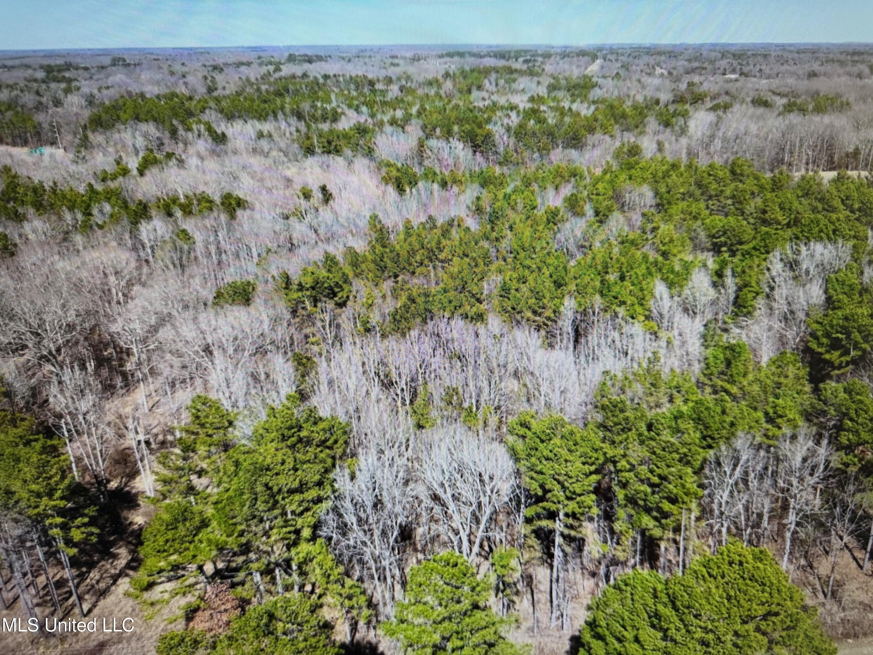 No Red Hills Road, Byhalia, Mississippi image 9
