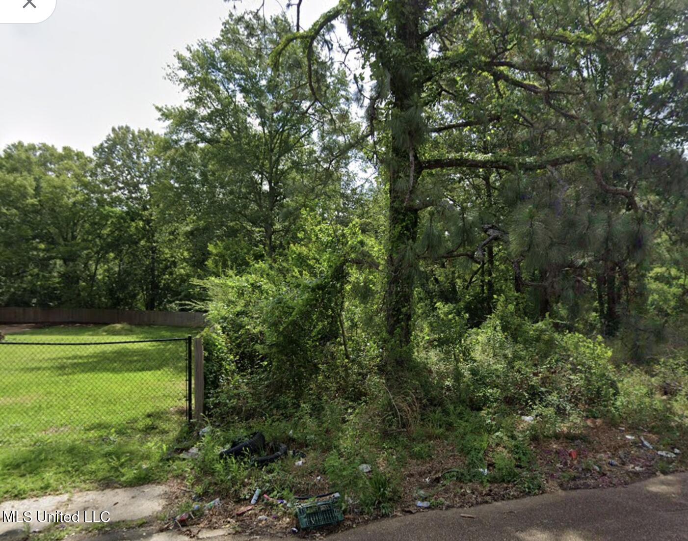 Marcus L Butler Drive, Jackson, Mississippi image 1