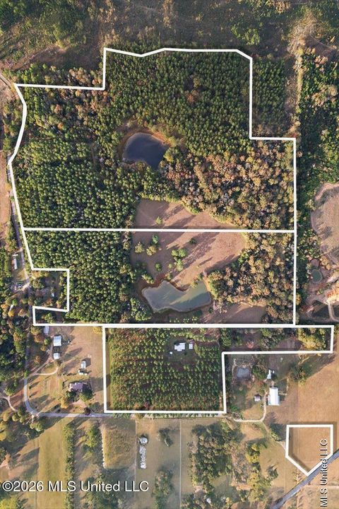 Vacant Land For Sale - 00 Anse Reed Road<br/> Magee, MS 39111