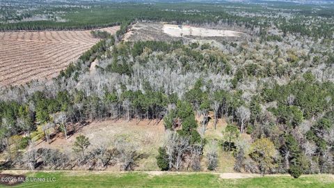 Vacant Land For Sale - 21.8 ACRES Flournoy Road<br/> Lucedale, MS 39452