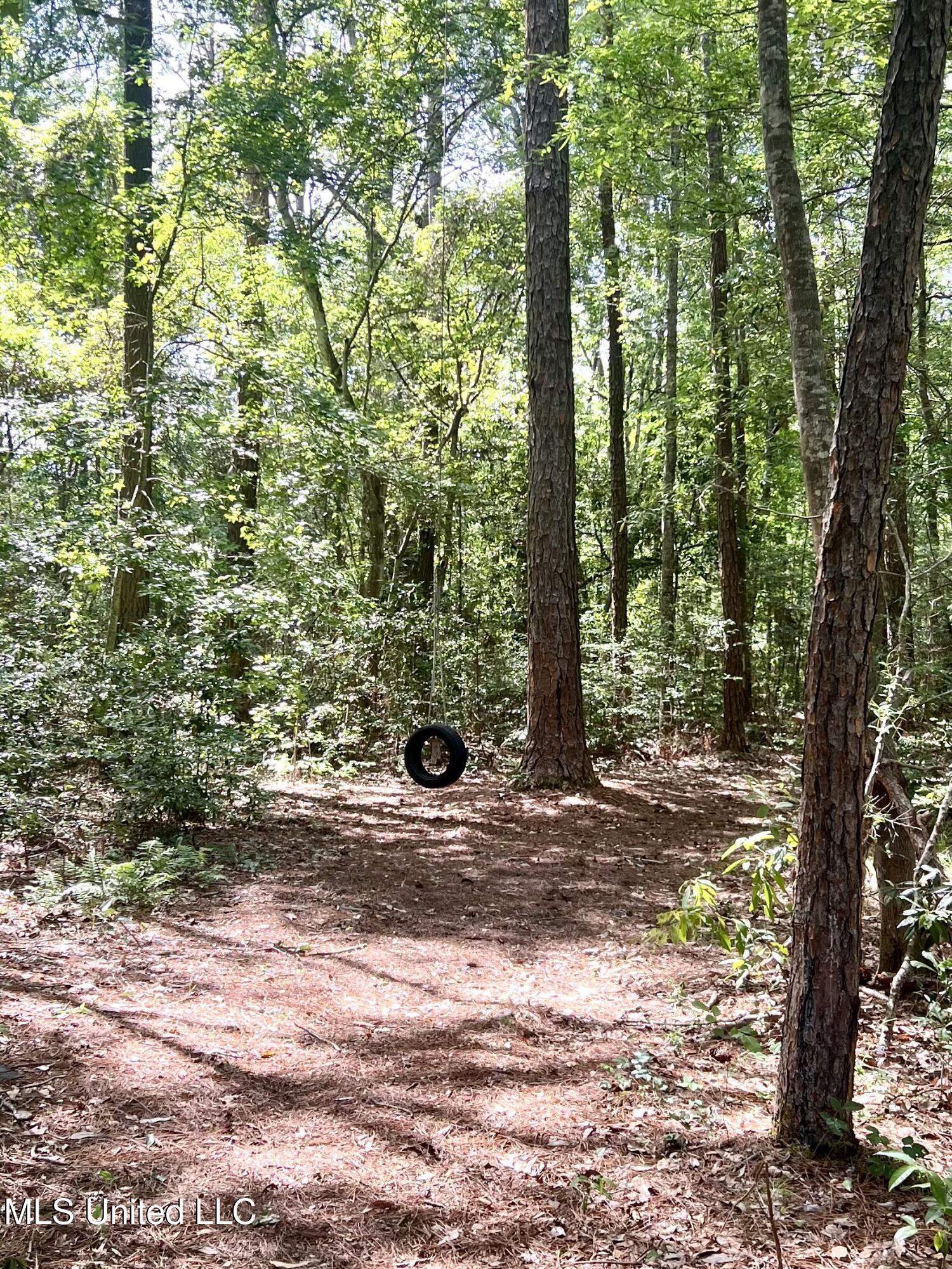 2621 Pintail Road, Moss Point, Mississippi image 33