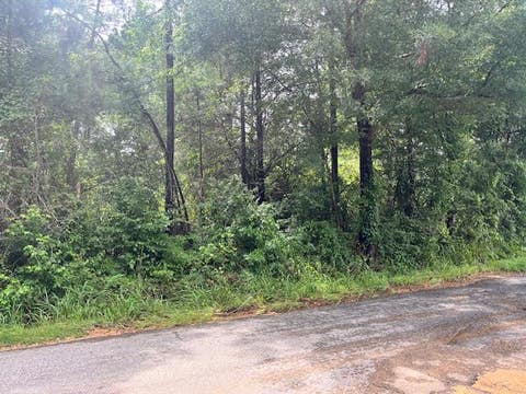 Vacant Land For Sale - Cole Drive Se<br/> Ruth, MS 39662