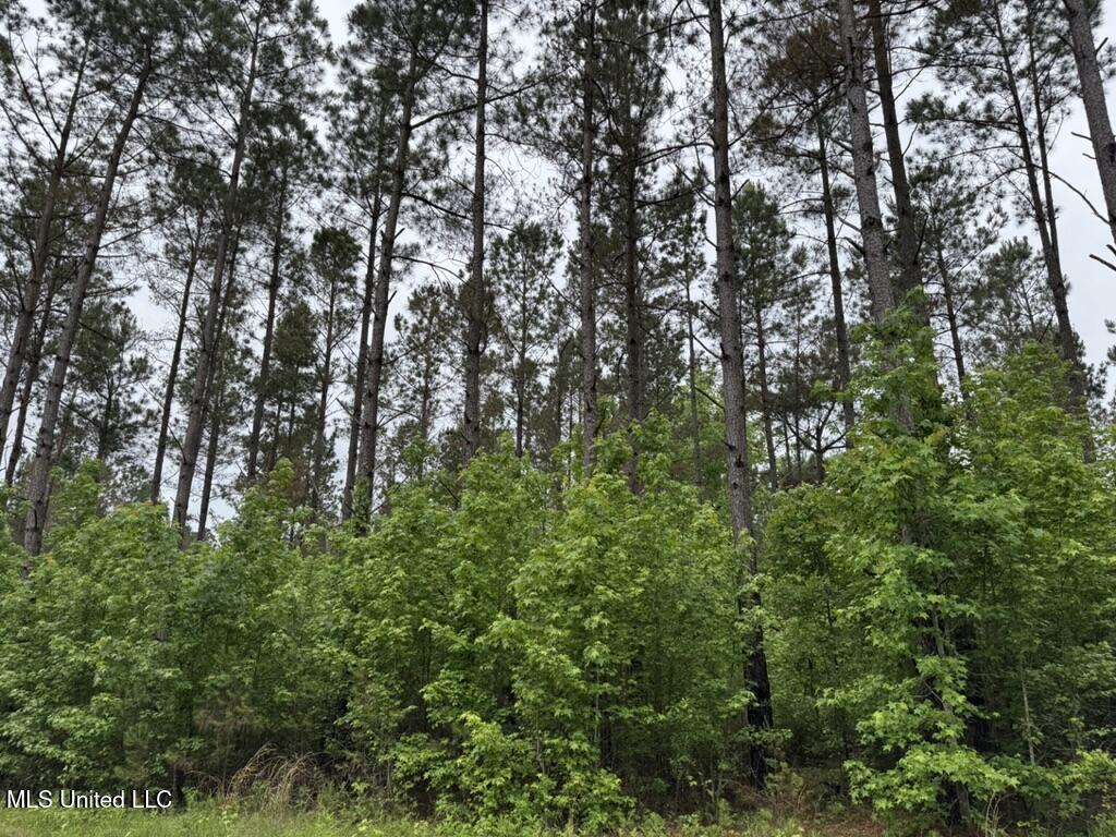 0020 Mount Carmel Road, Daleville, Mississippi image 9