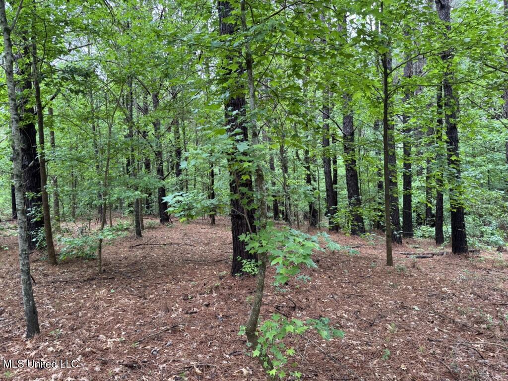 0020 Mount Carmel Road, Daleville, Mississippi image 18