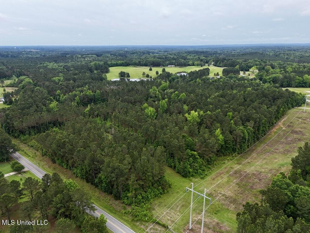 0020 Mount Carmel Road, Daleville, Mississippi image 8