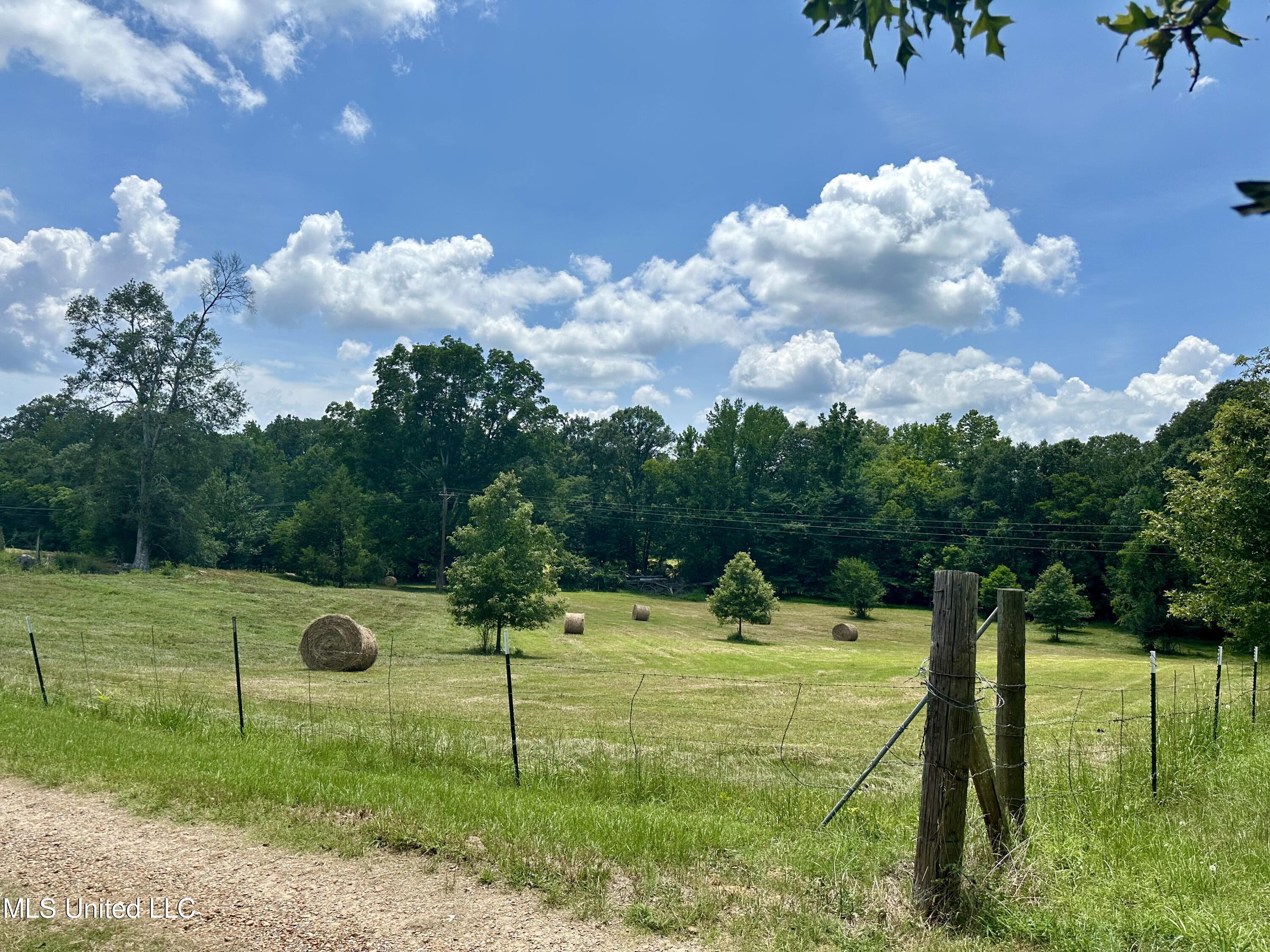 2626 Reedtown Road Road, Utica, Mississippi image 9