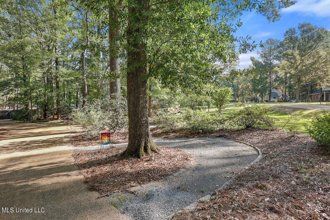 7 Charleston Avenue, Clinton, Mississippi image 4