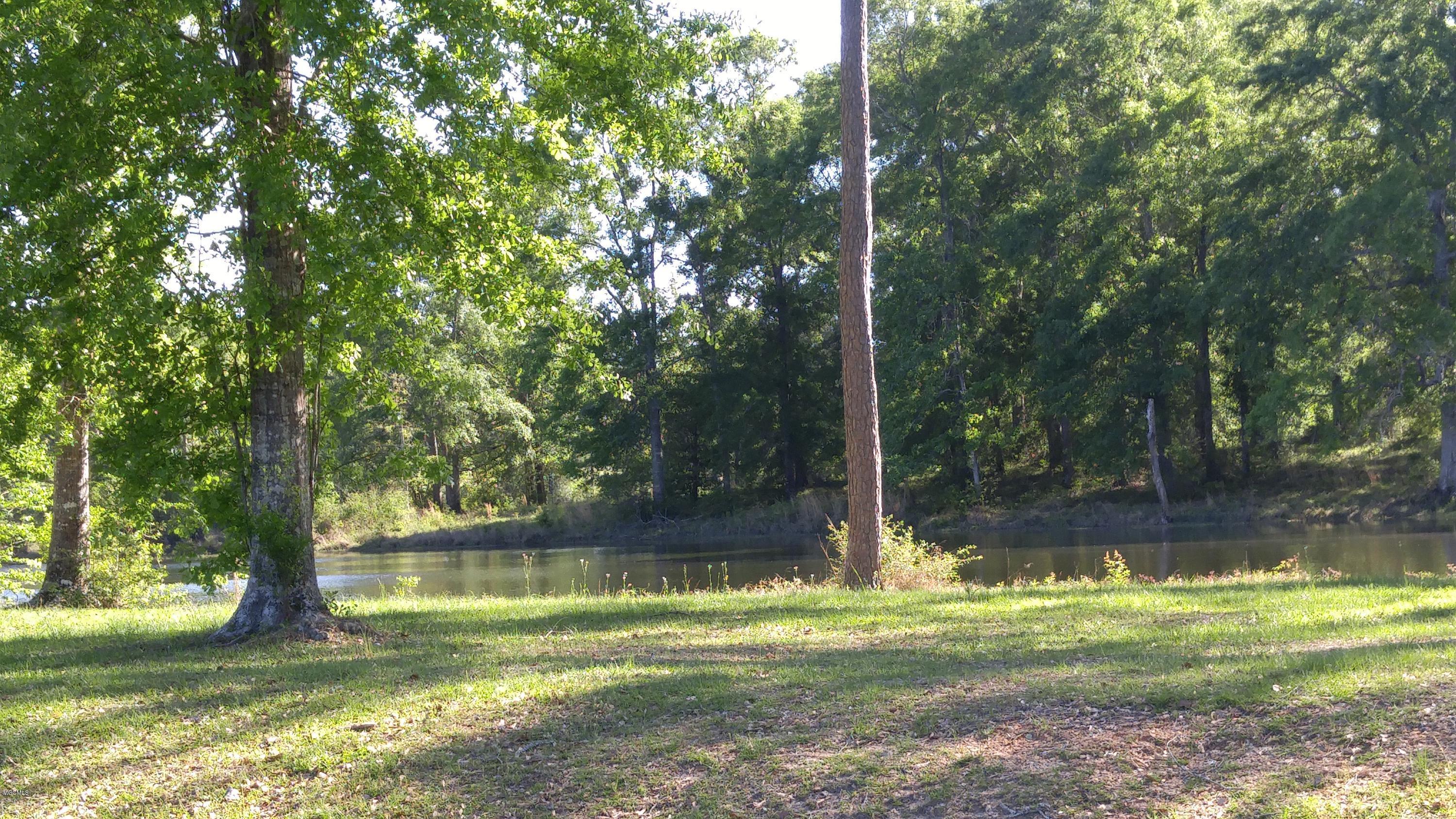 Lot 37 Fallen Leaf Drive, Poplarville, Mississippi image 8