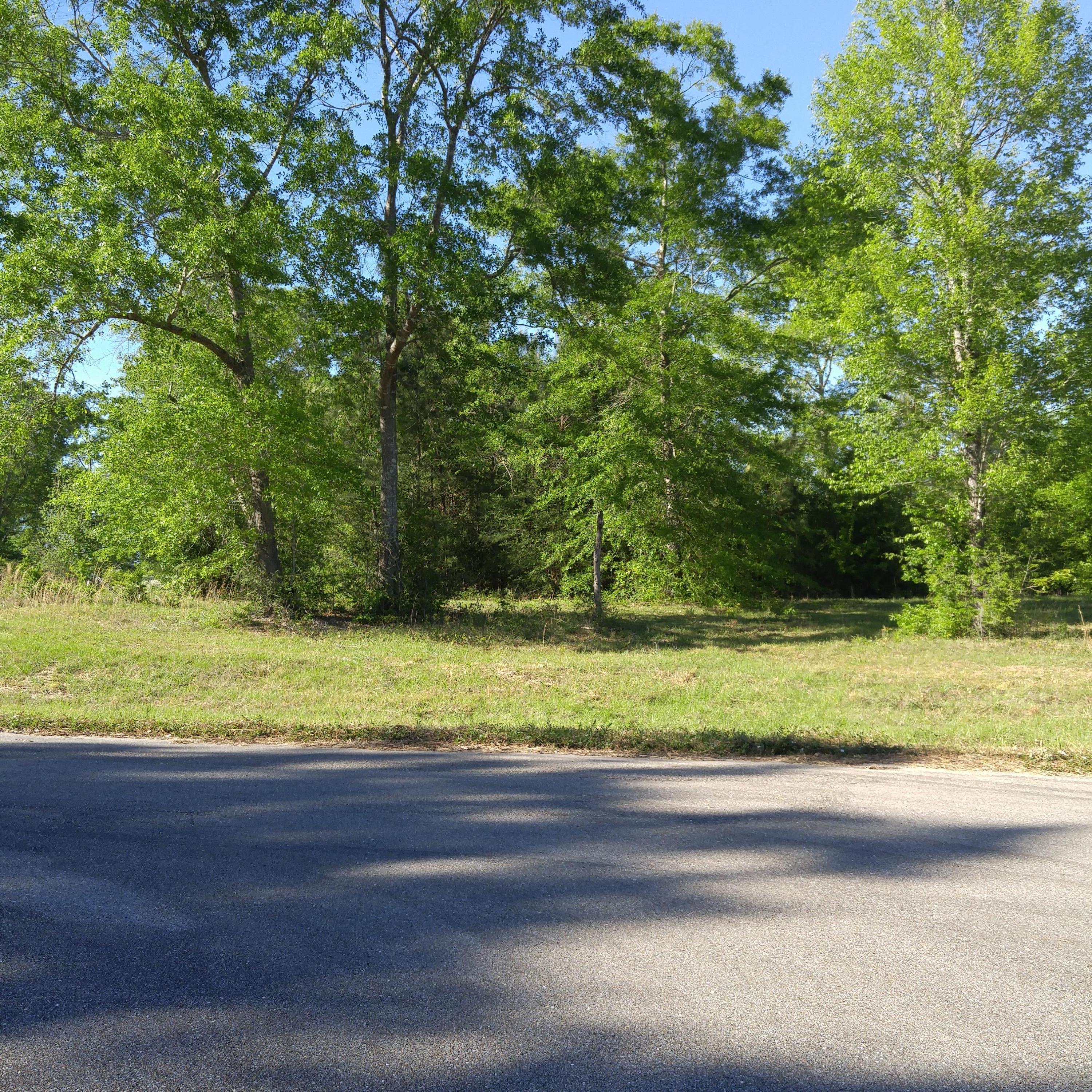 Lot 37 Fallen Leaf Drive, Poplarville, Mississippi image 1