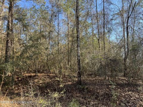 Vacant Land For Sale - LOT197 W Woodland Drive<br/> Lumberton, MS 39455