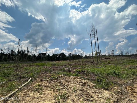 Vacant Land For Sale - Whitetown Lane<br/> Hazlehurst, MS 39083
