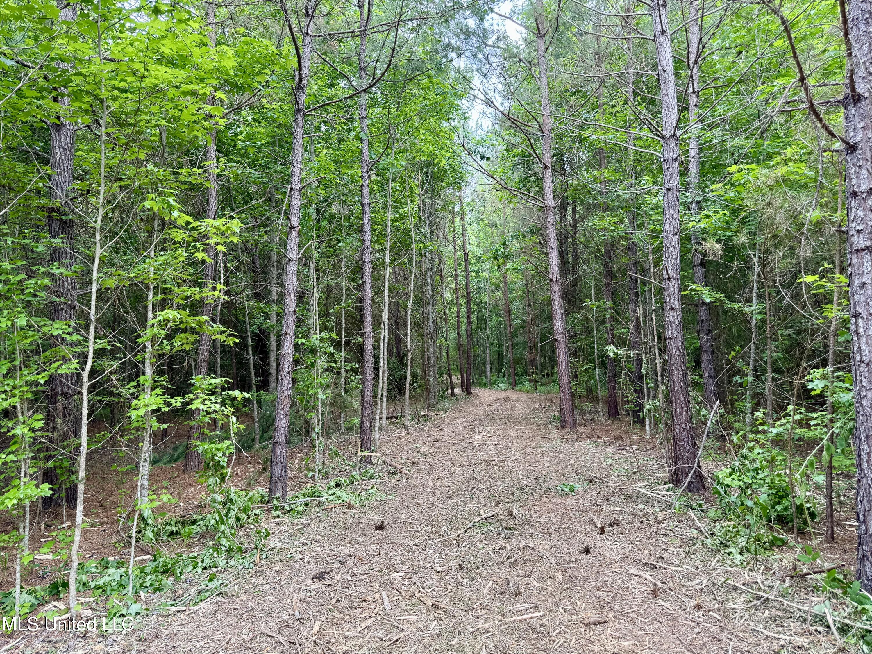 Stephens Rd, Durant, Mississippi image 9