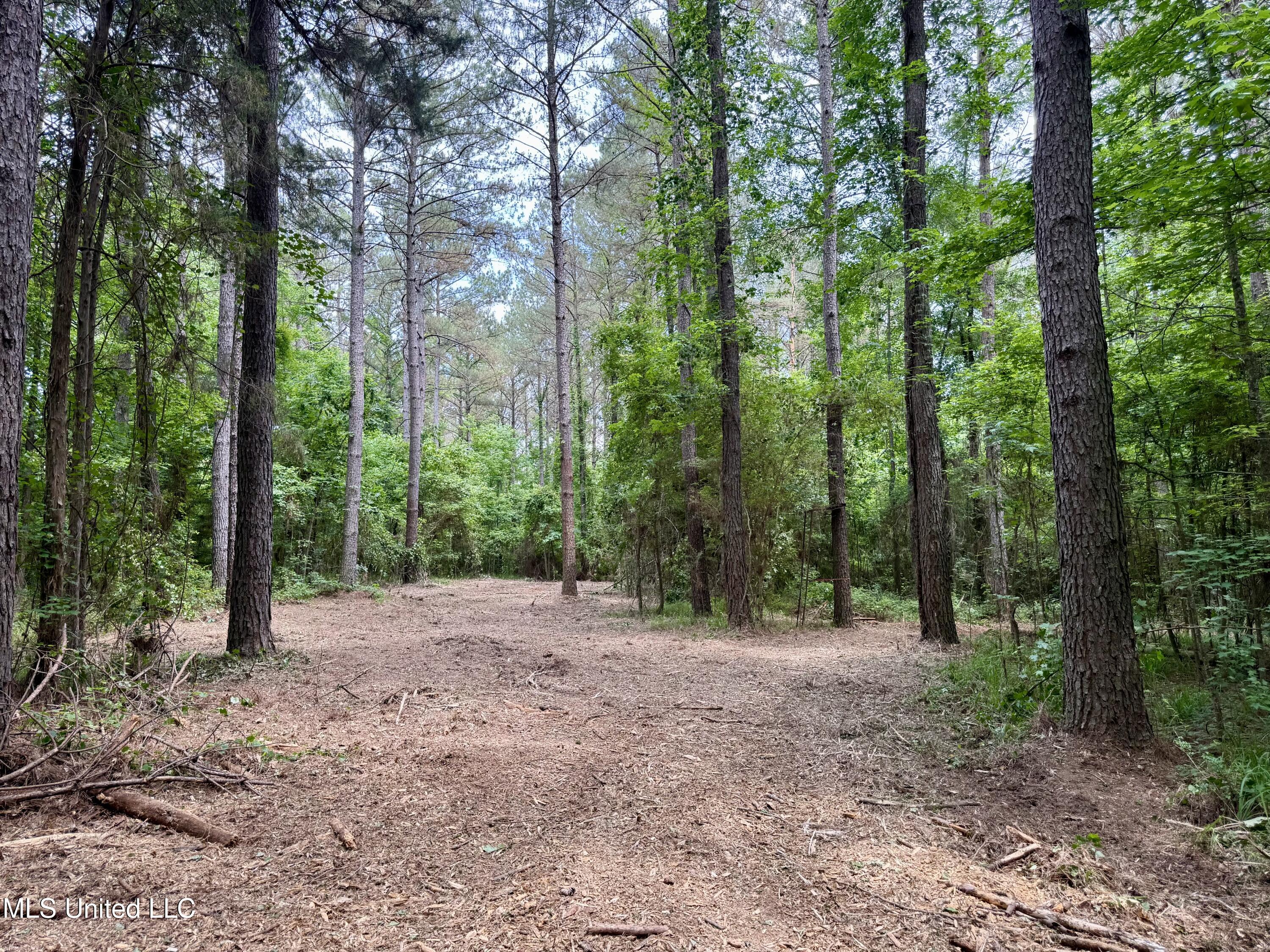 Stephens Rd, Durant, Mississippi image 1