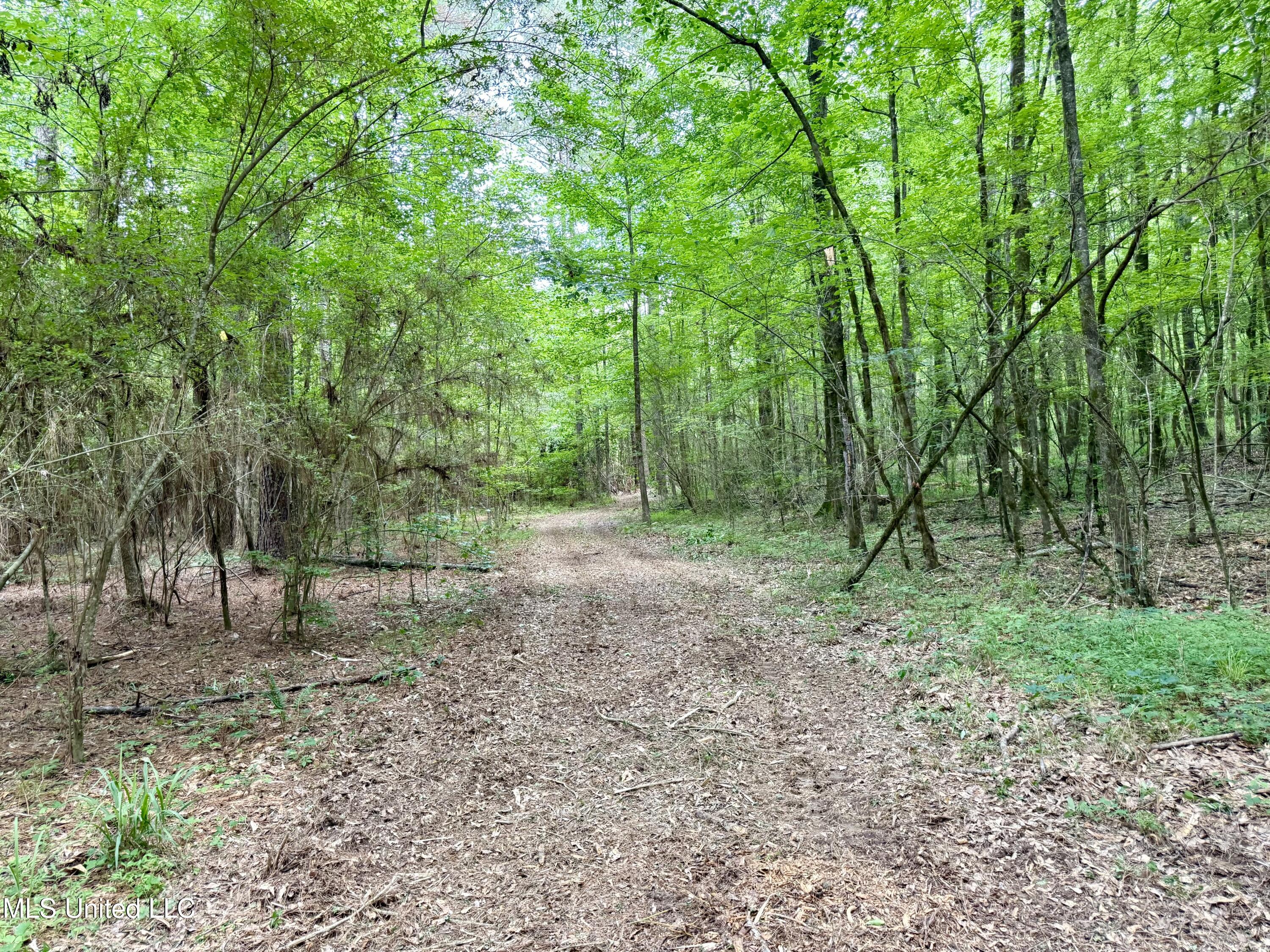 Stephens Rd, Durant, Mississippi image 16